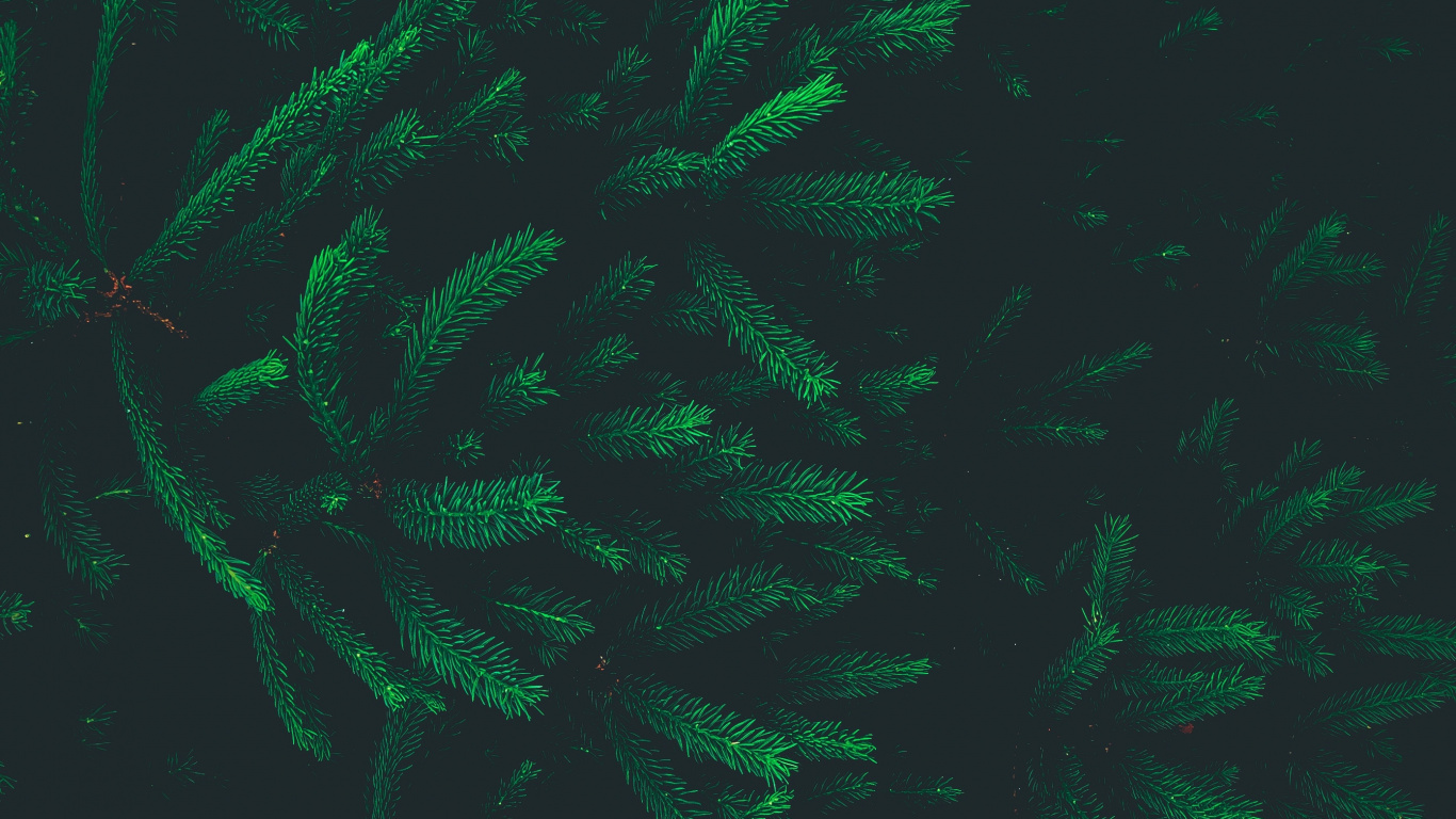 Green, Feuille, Effets Spéciaux, Biome. Wallpaper in 1366x768 Resolution