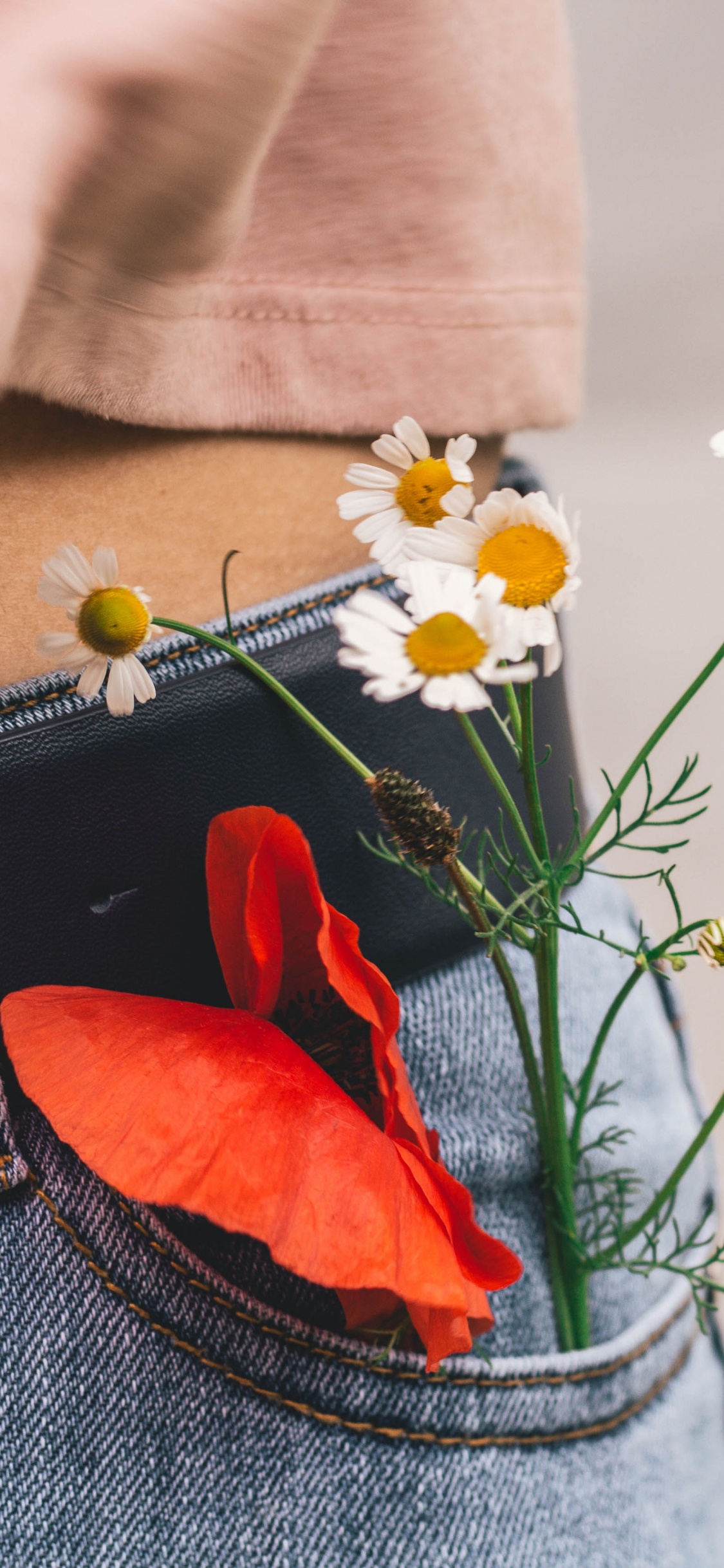 红色的, 橙色, 牛仔裤, 花卉设计, 野花 壁纸 1125x2436 允许