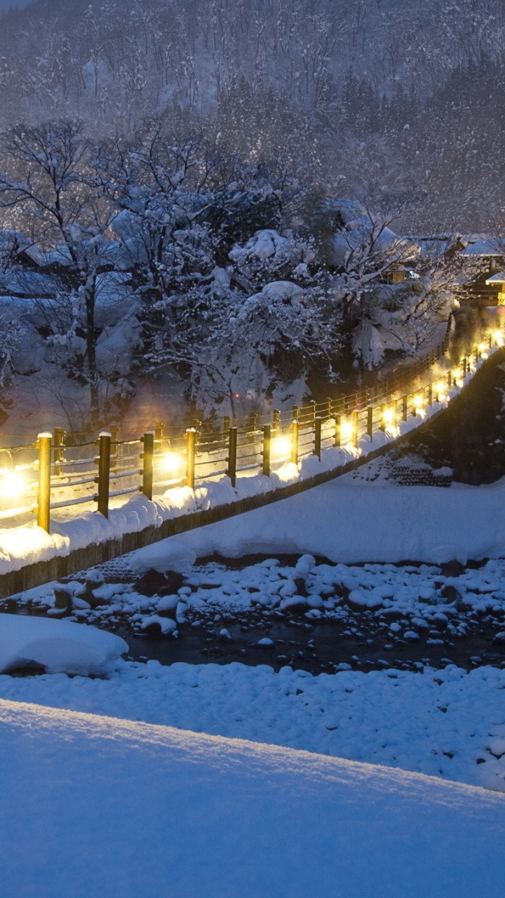Arbres et Route Couverts de Neige Pendant la Nuit. Wallpaper in 720x1280 Resolution