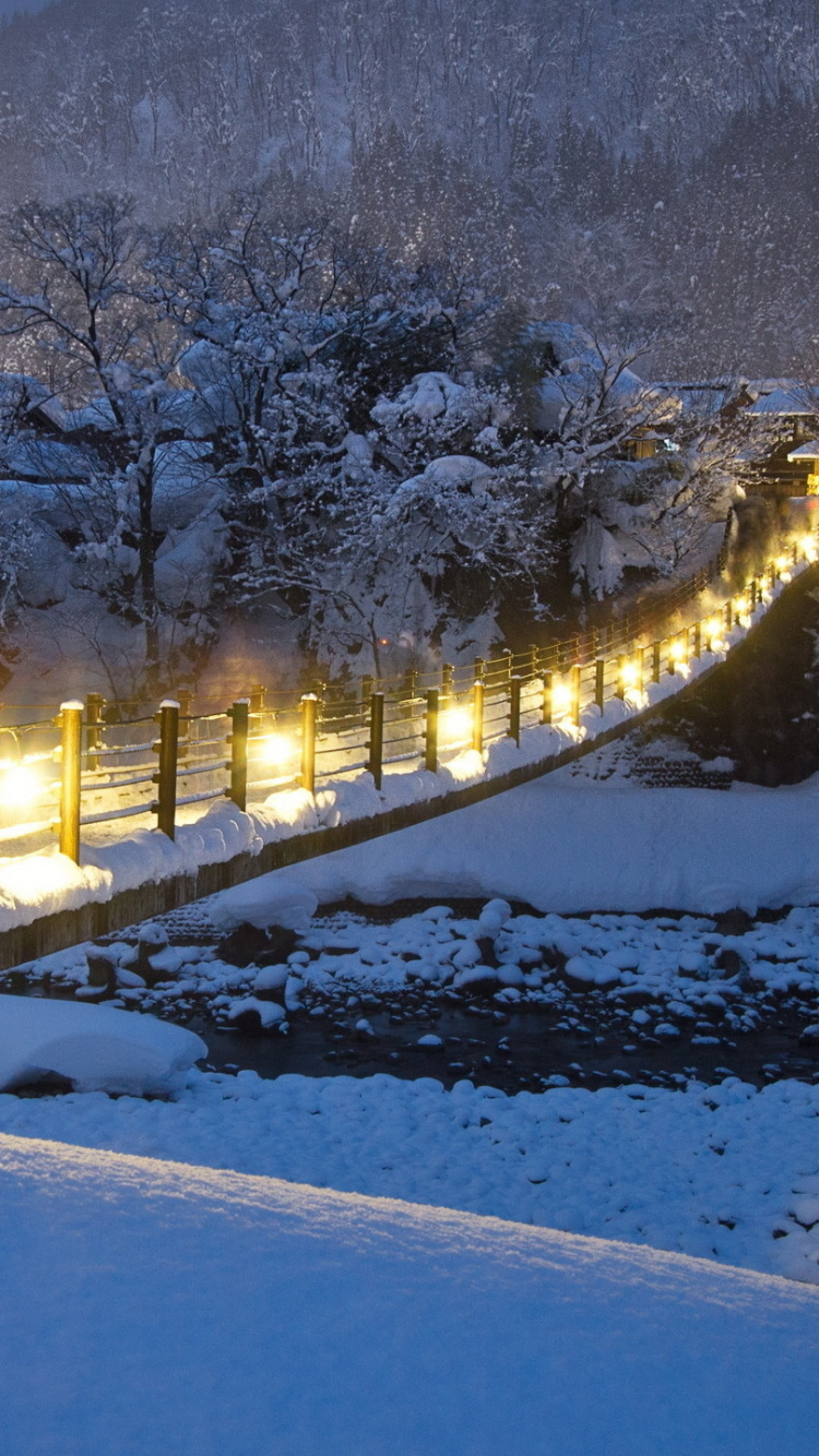 Árboles Cubiertos de Nieve y Carreteras Durante la Noche.. Wallpaper in 750x1334 Resolution