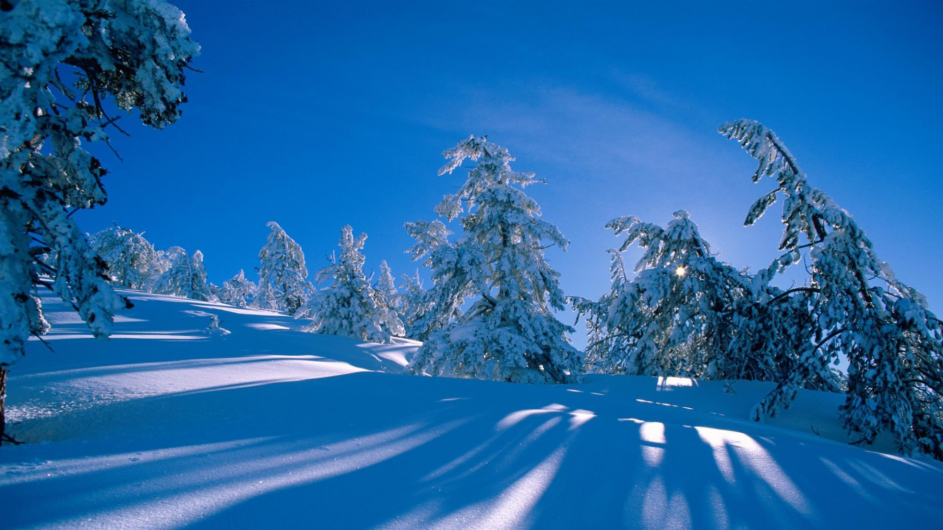 Snow Covered Trees on Snow Covered Ground Under Blue Sky During Daytime. Wallpaper in 1920x1080 Resolution