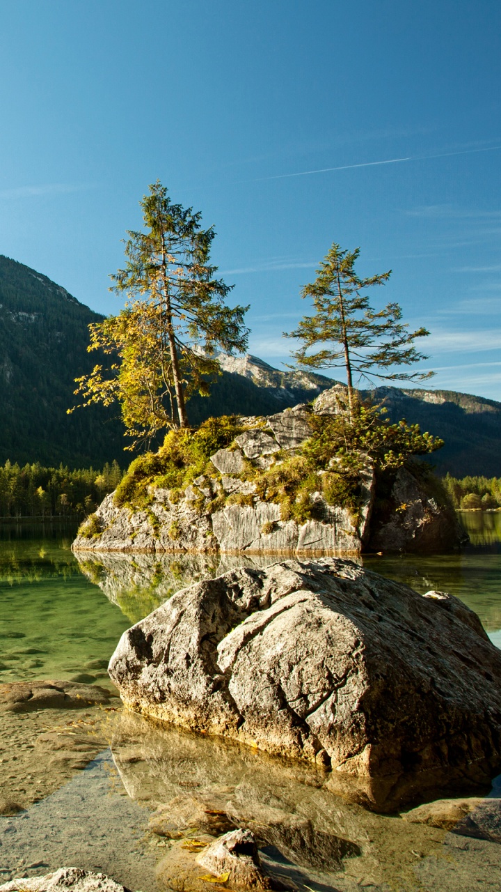 Arbres Verts Près du Lac Pendant la Journée. Wallpaper in 720x1280 Resolution