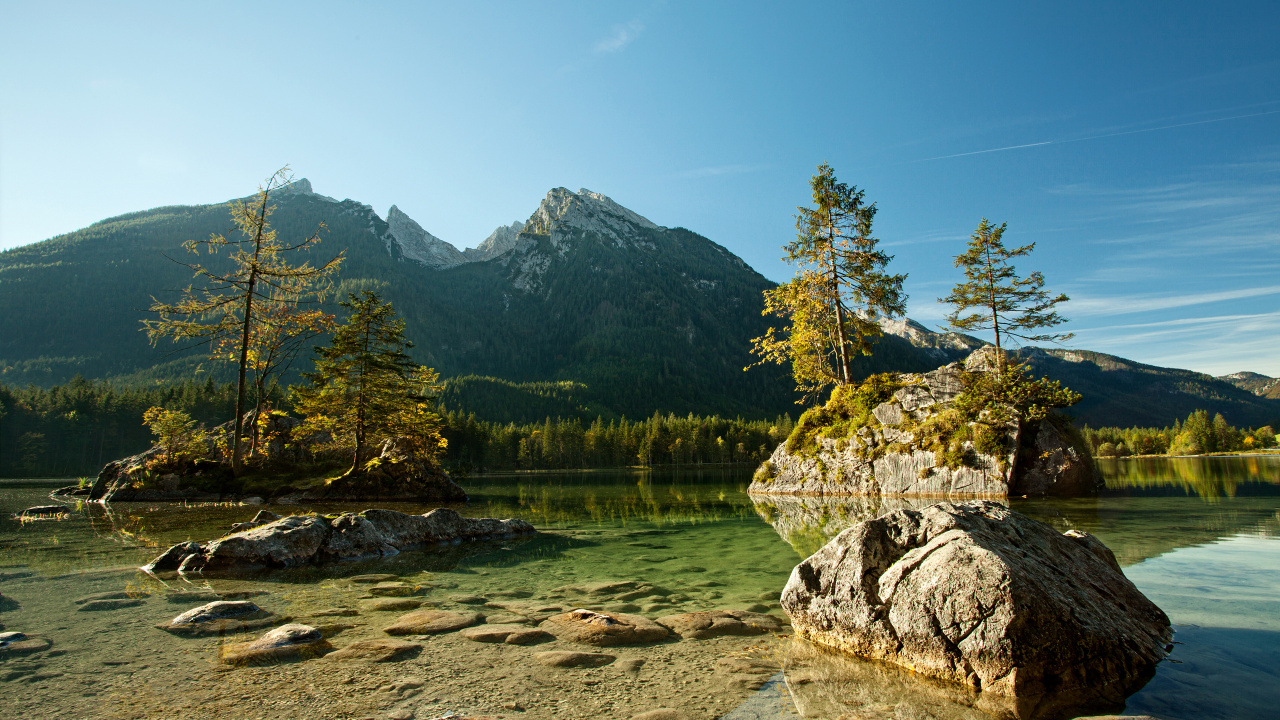 Green Trees Near Lake During Daytime. Wallpaper in 1280x720 Resolution