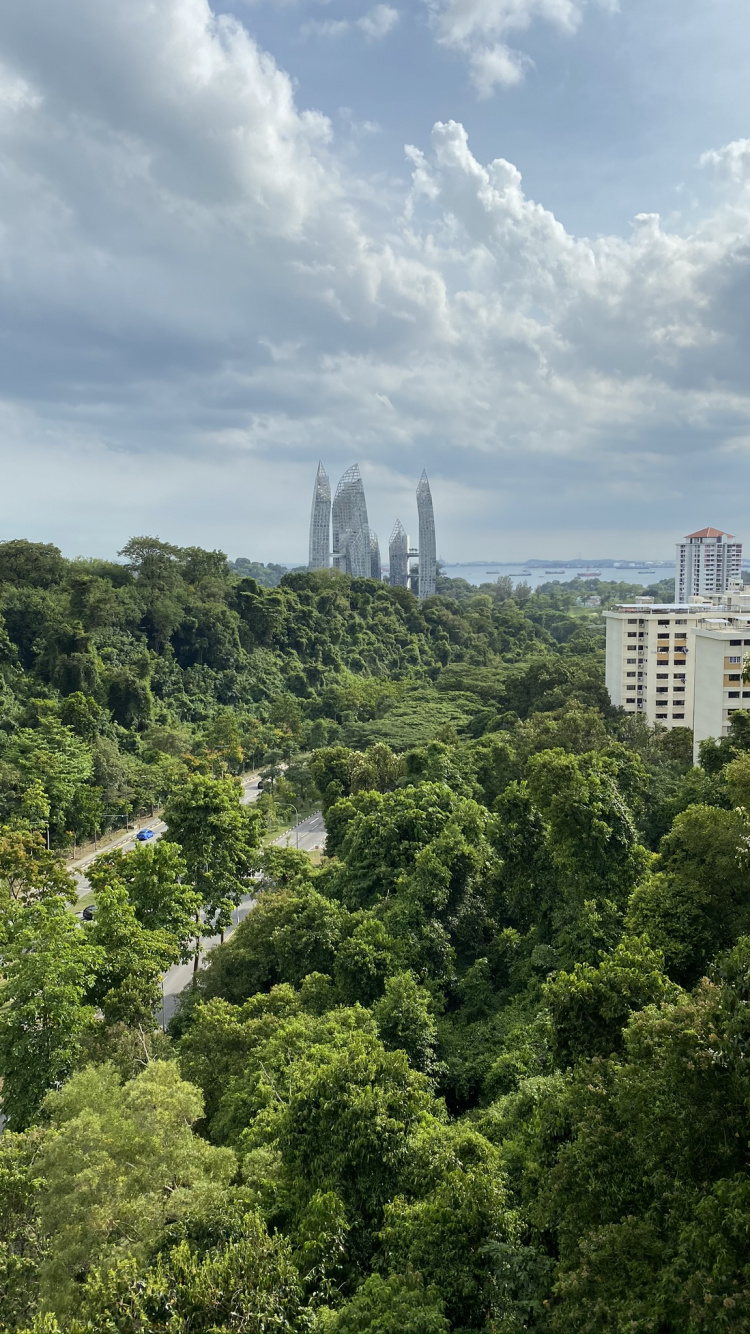 Végétation, Carte Des Sentiers, Nature, la Journée, Plante de la Communauté. Wallpaper in 750x1334 Resolution