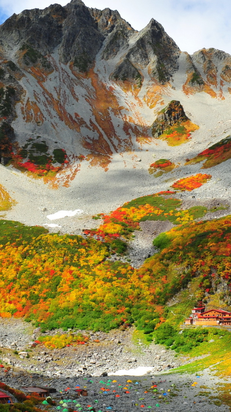 Green and Brown Trees Near Mountain During Daytime. Wallpaper in 750x1334 Resolution