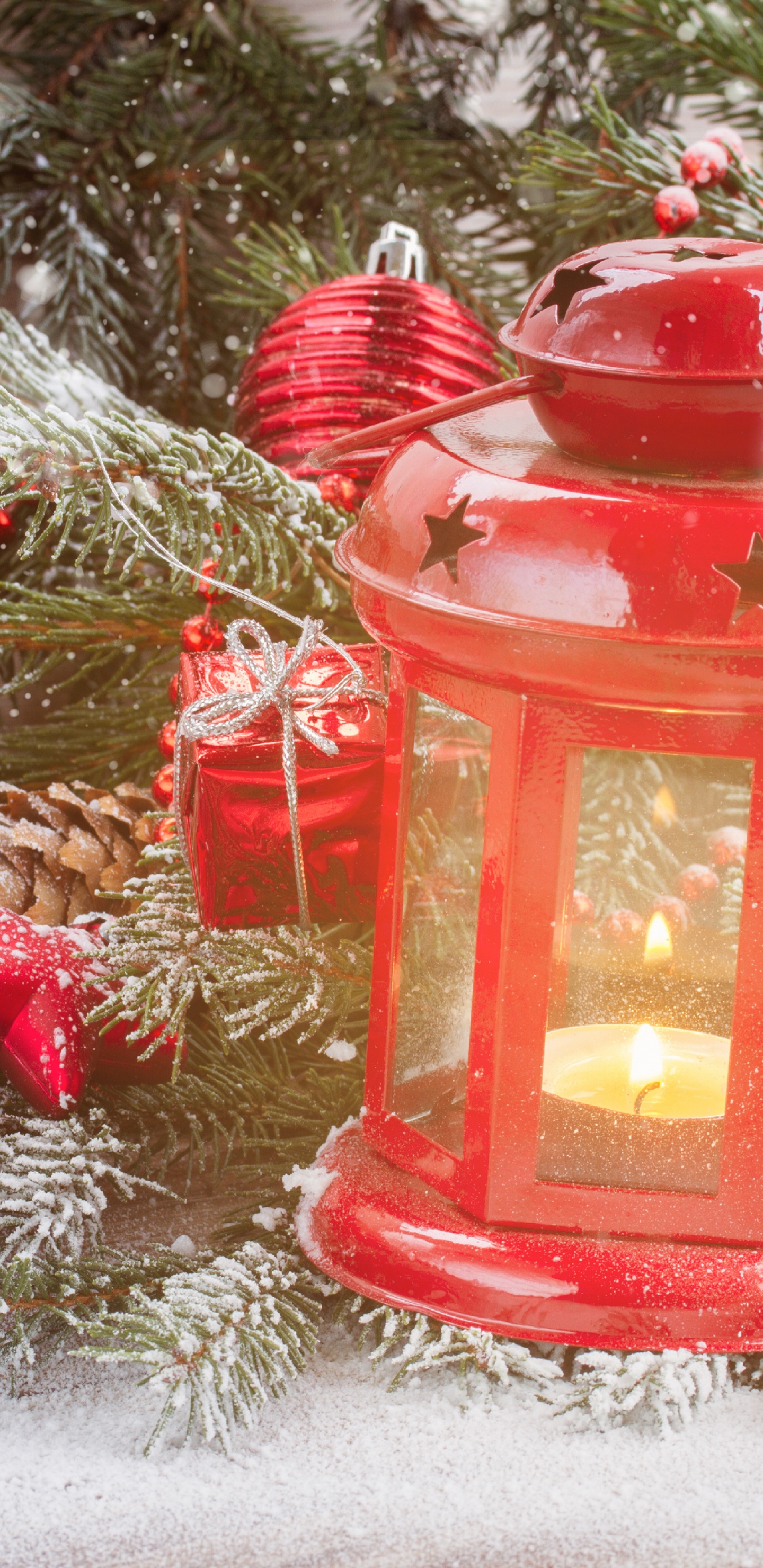 Le Jour De Noël, Arbre de Noël, Décoration de Noël, Sapin, Famille Des Pins. Wallpaper in 1440x2960 Resolution