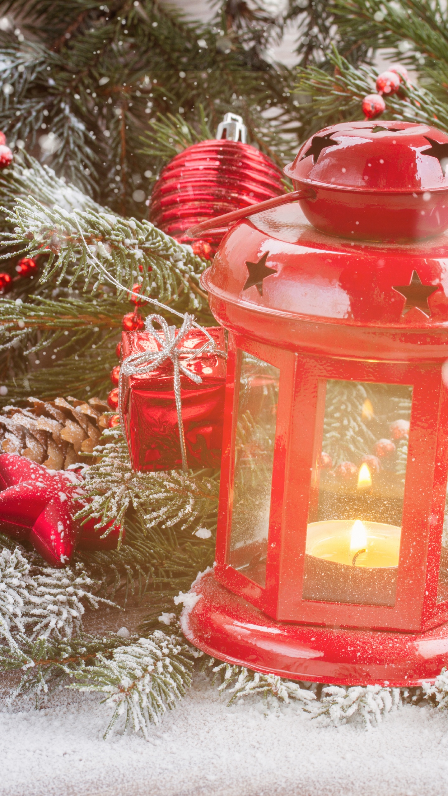 Christmas Day, Christmas Tree, Christmas Decoration, Christmas, Fir. Wallpaper in 1440x2560 Resolution