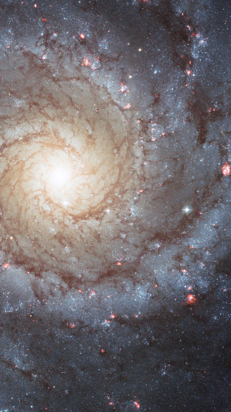 Messier 74, Spiral Galaxy, Galaxy, Astronomy, Nebula. Wallpaper in 750x1334 Resolution