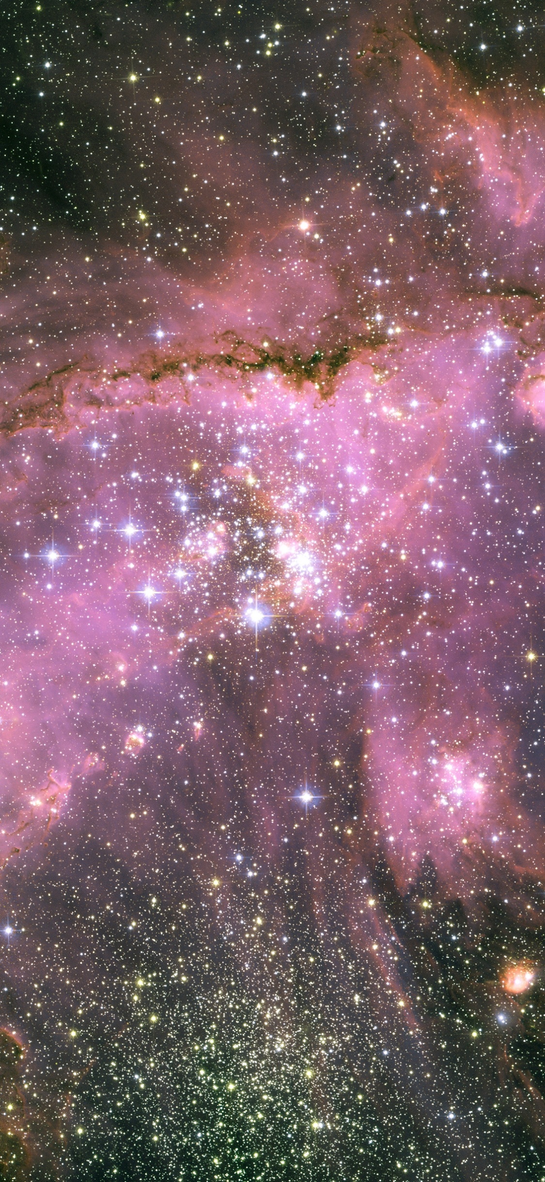 NGC346, Estrella, Universo, Pequeña Nube de Magallanes, Galaxia. Wallpaper in 1125x2436 Resolution