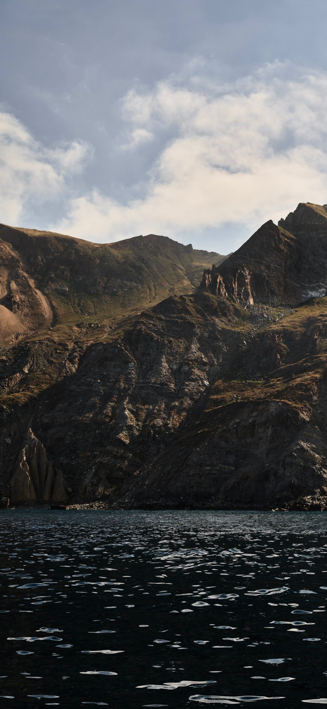 Apple, IPhone, MacOS Catalina, Apples, Operating System. Wallpaper in 1125x2436 Resolution