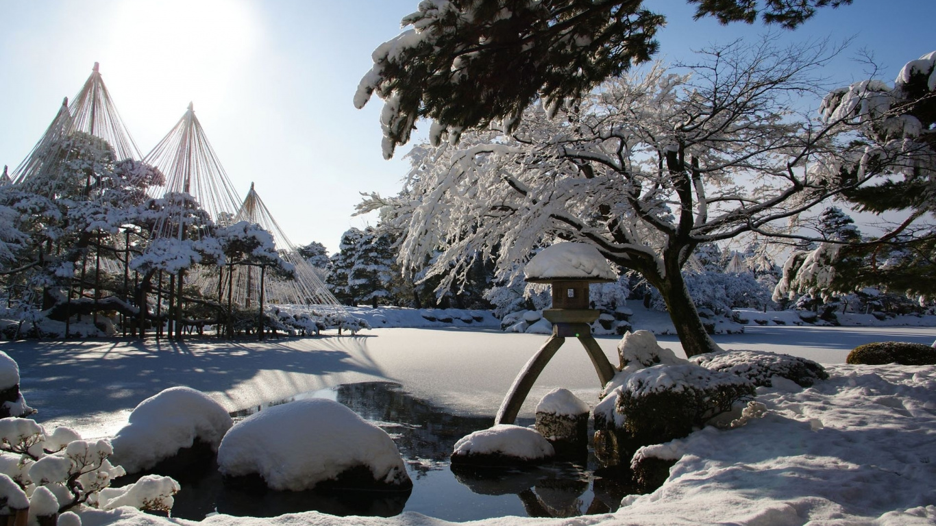 Snow Covered Trees and Ground. Wallpaper in 1366x768 Resolution