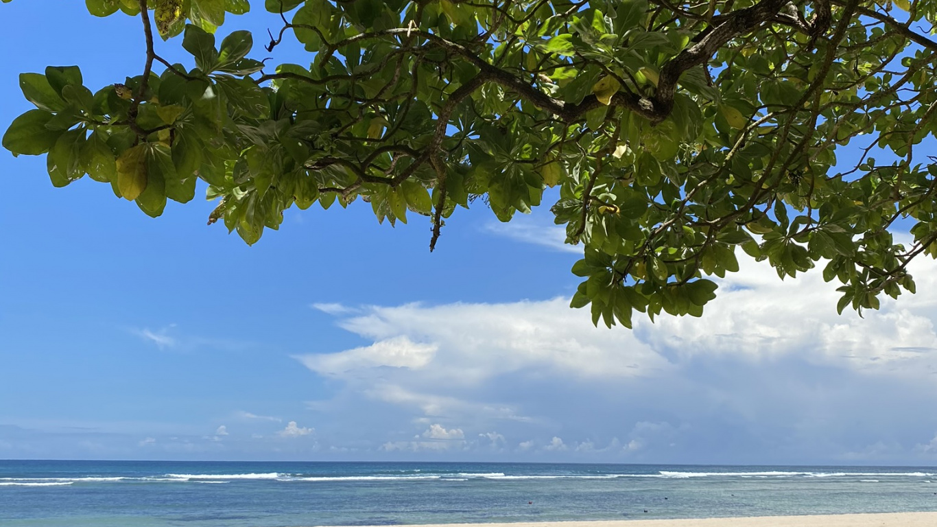 Water, Plants, Science, Biology, Body of Water. Wallpaper in 1366x768 Resolution