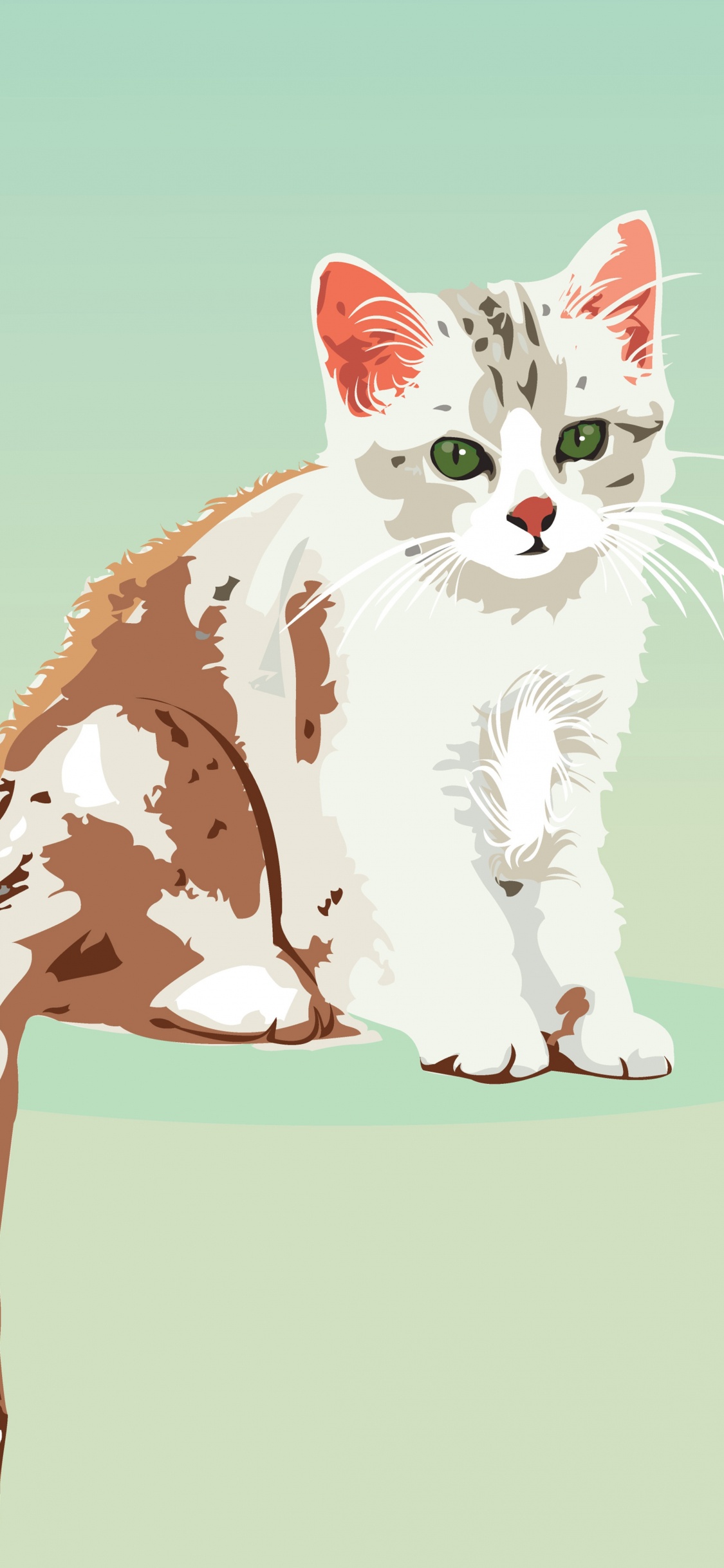 Chat Blanc et Brun Sur Fond Bleu. Wallpaper in 1125x2436 Resolution