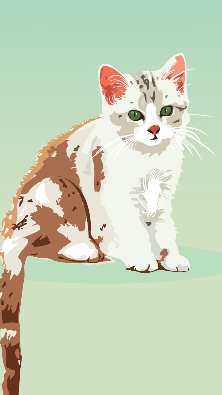 Chat Blanc et Brun Sur Fond Bleu. Wallpaper in 720x1280 Resolution