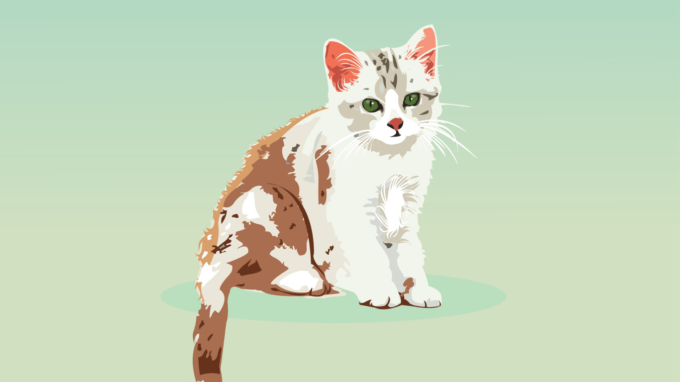 White and Brown Cat on Blue Background. Wallpaper in 1366x768 Resolution