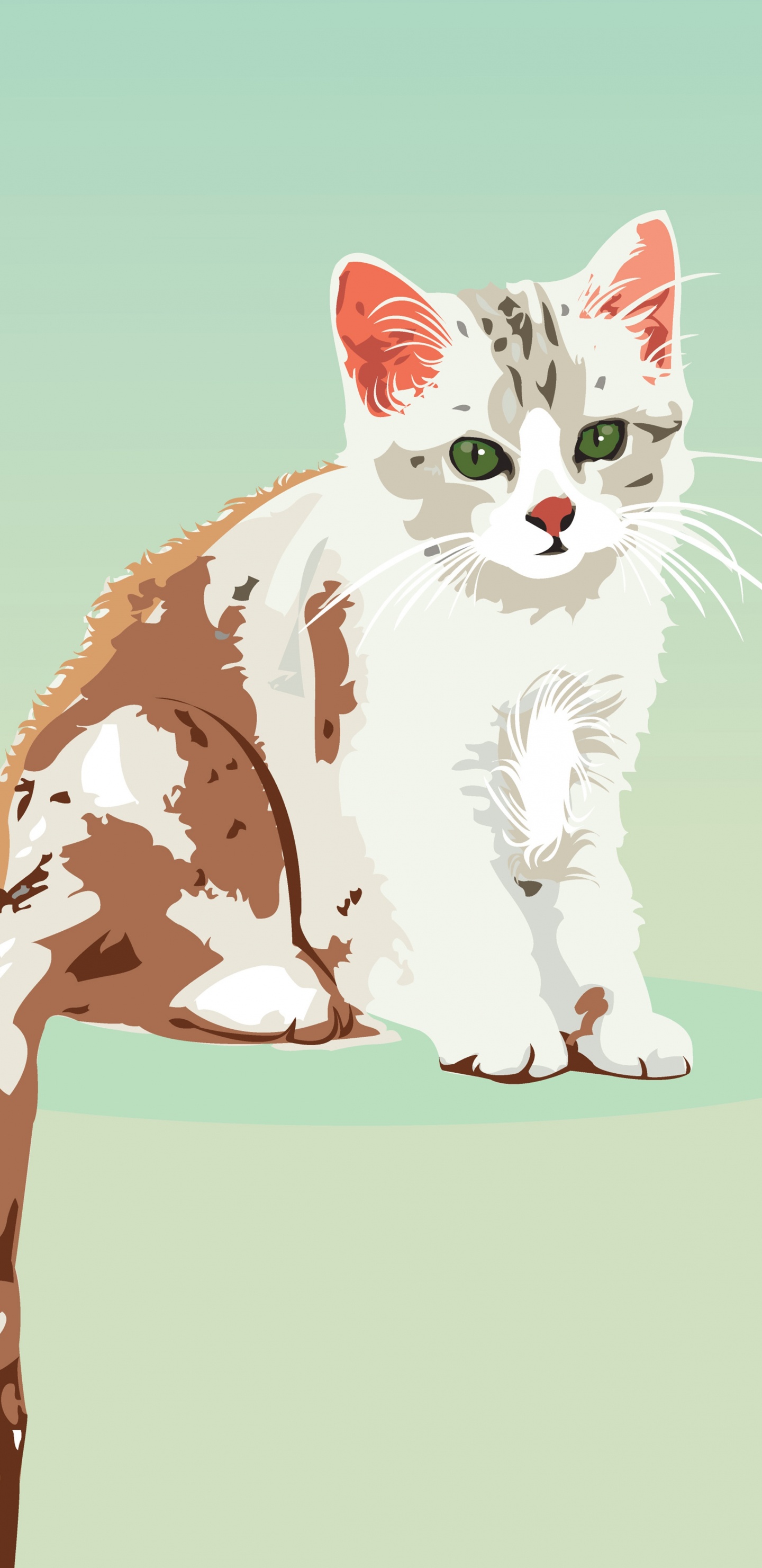 White and Brown Cat on Blue Background. Wallpaper in 1440x2960 Resolution