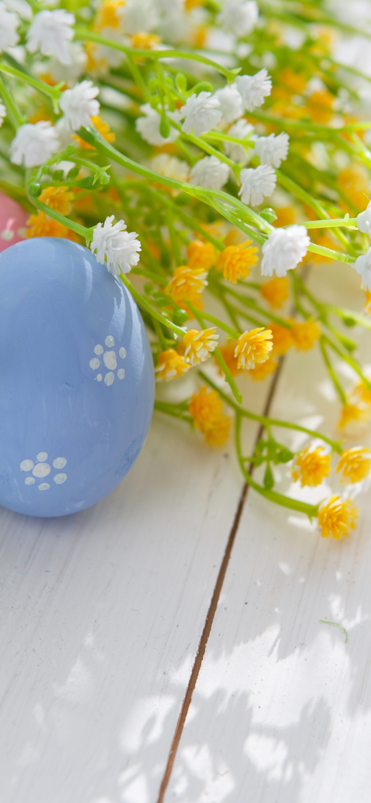 Easter Egg, Easter. Wallpaper in 1242x2688 Resolution