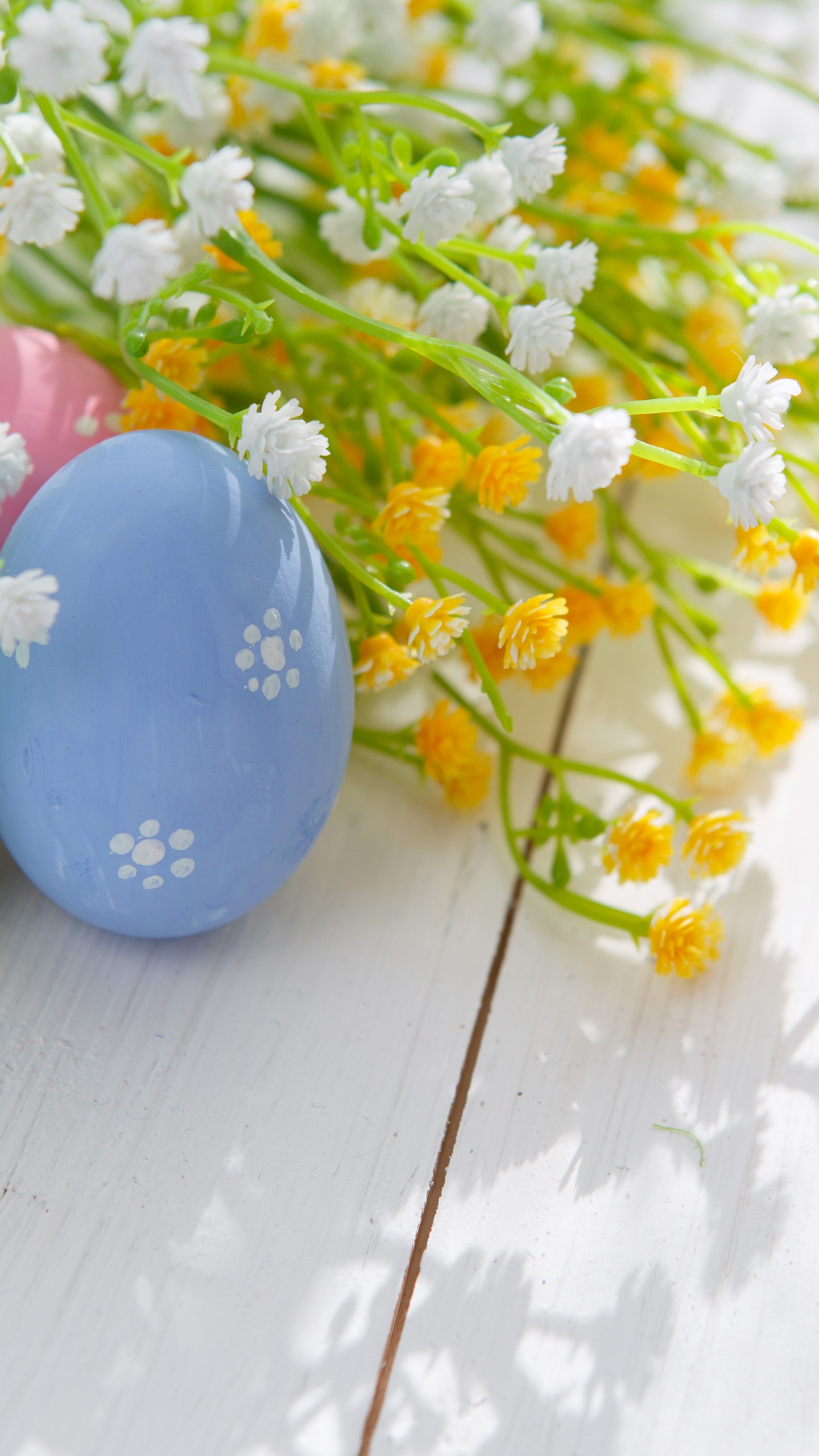 Huevo de Pascua, Pascua. Wallpaper in 1440x2560 Resolution