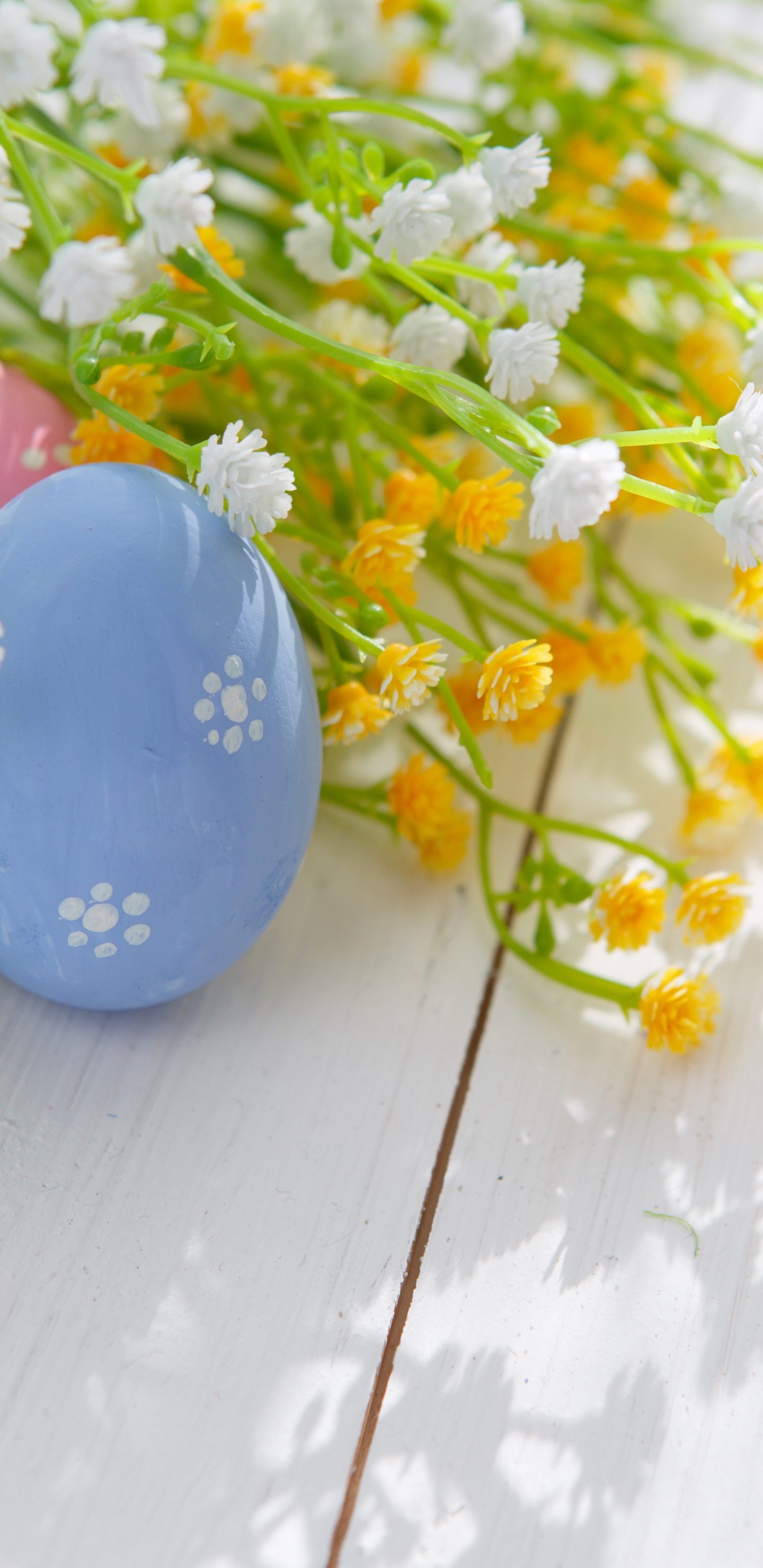 Osterei, Ostern. Wallpaper in 1440x2960 Resolution