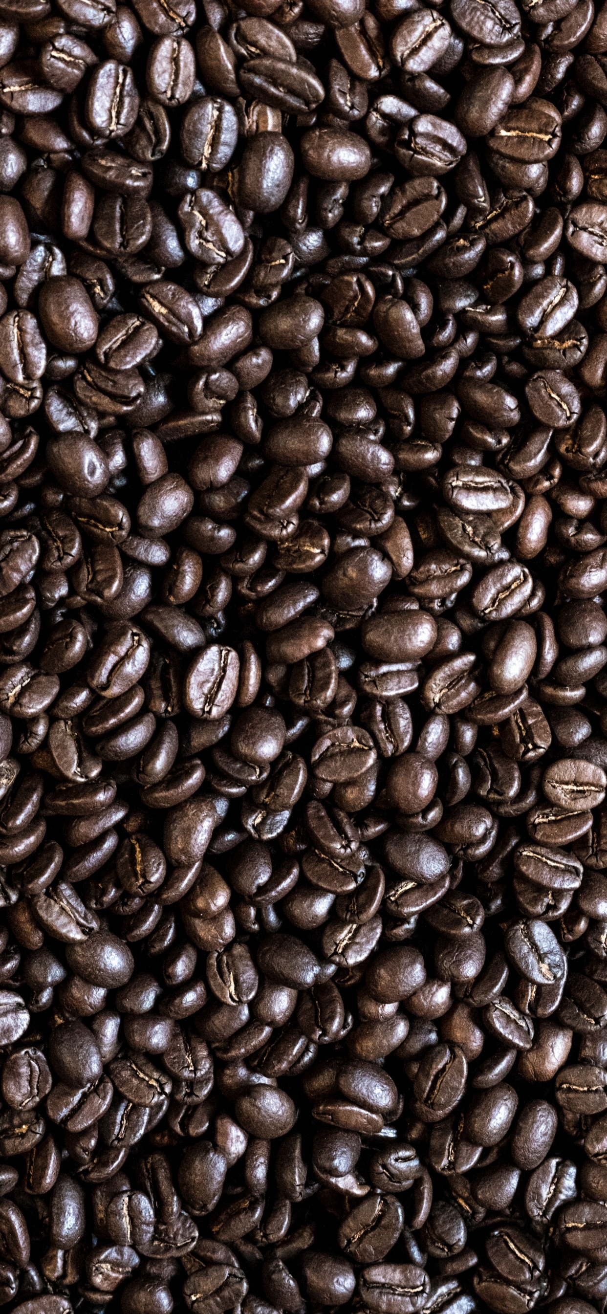 Brown Coffee Beans in Close up Photography. Wallpaper in 1242x2688 Resolution