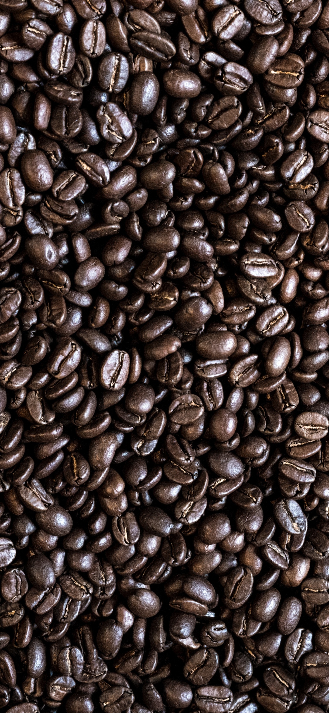 Granos de Café Marrón en Fotografía de Cerca. Wallpaper in 1125x2436 Resolution