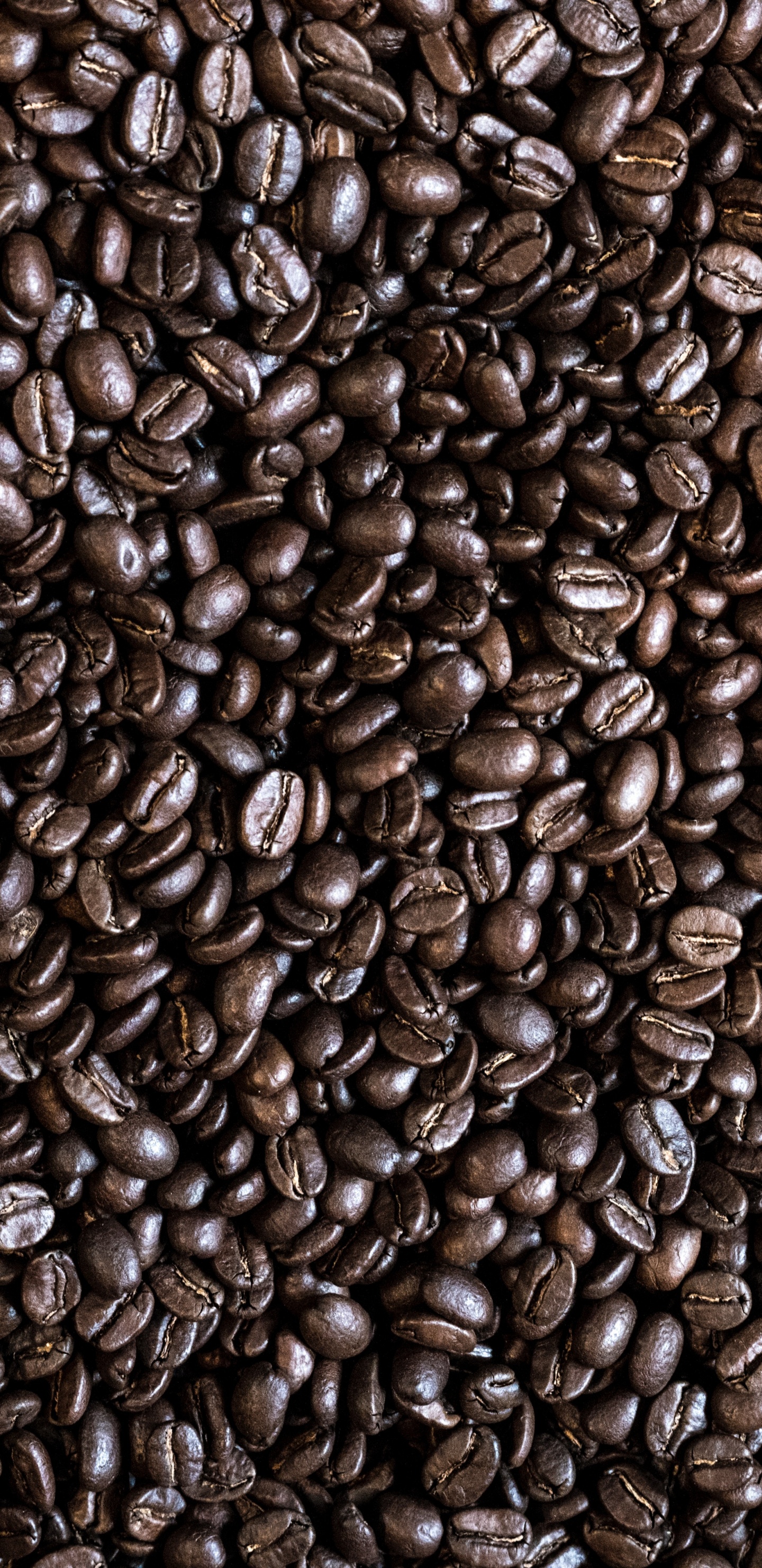 Granos de Café Marrón en Fotografía de Cerca. Wallpaper in 1440x2960 Resolution