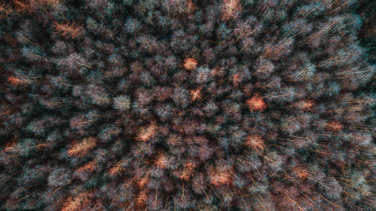 Morena, Tejido de Punto, Lana, Patrón, Arte Fractal. Wallpaper in 1280x720 Resolution