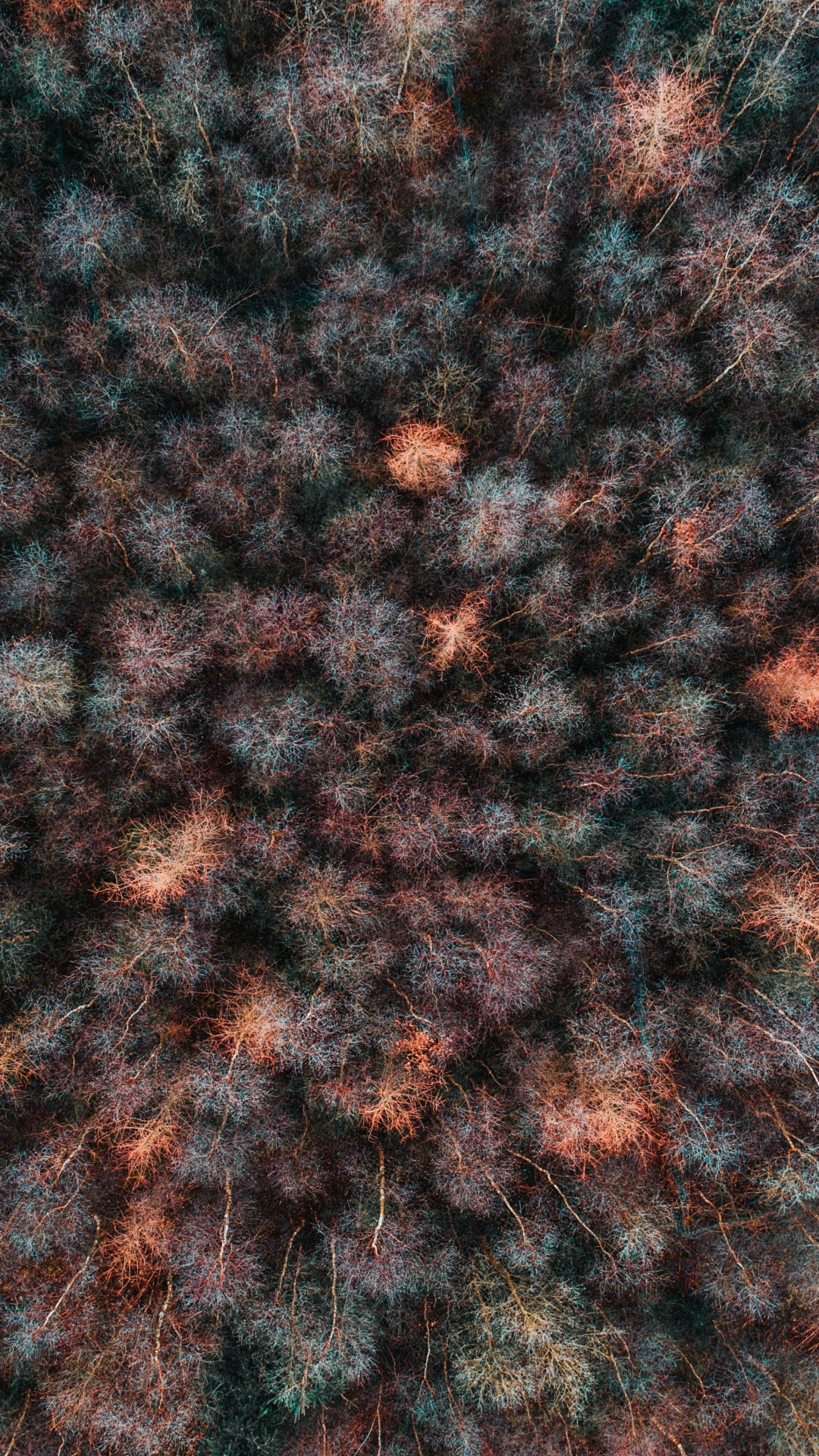 Brown, Strick, Wolle, Wollstoff, Muster. Wallpaper in 1080x1920 Resolution