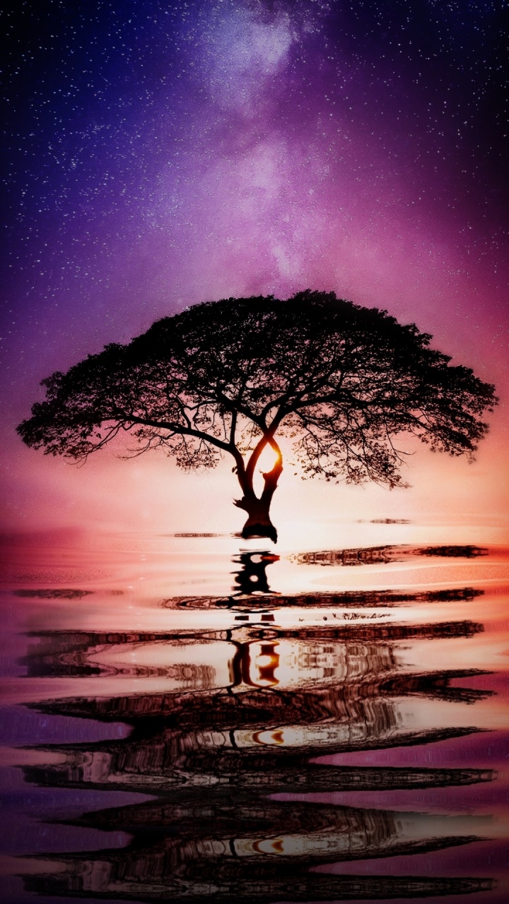 Huawei-Hintergrundbilder, Huawei P20 Pro, Huawei P20 Lite, Huawei, Smartphone. Wallpaper in 720x1280 Resolution