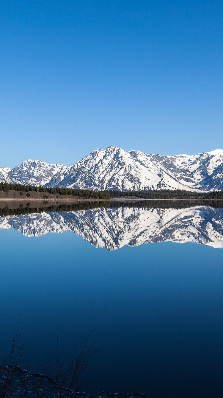 Grand Teton, Yellowstone National Park, Bergkette, Nationalpark, Reflexion. Wallpaper in 750x1334 Resolution