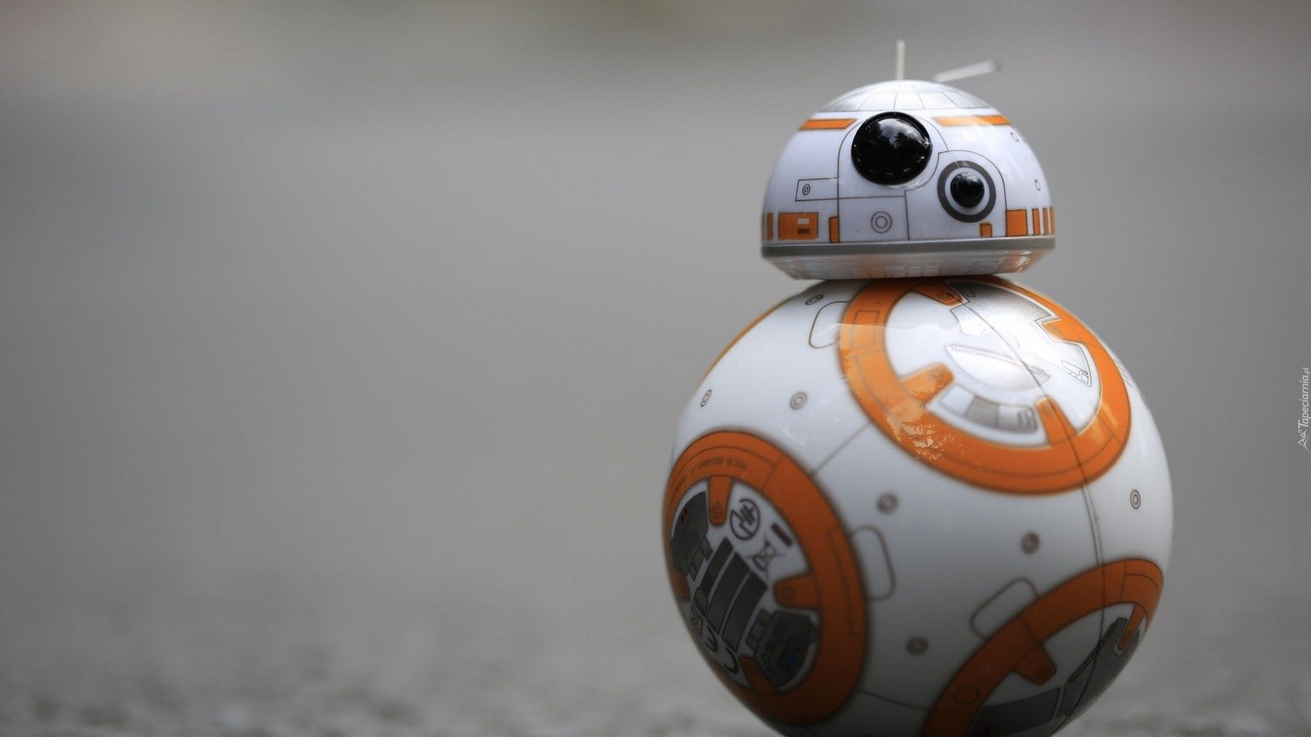 BB-8, Rey, Star Wars, Droid, Ball. Wallpaper in 2560x1440 Resolution