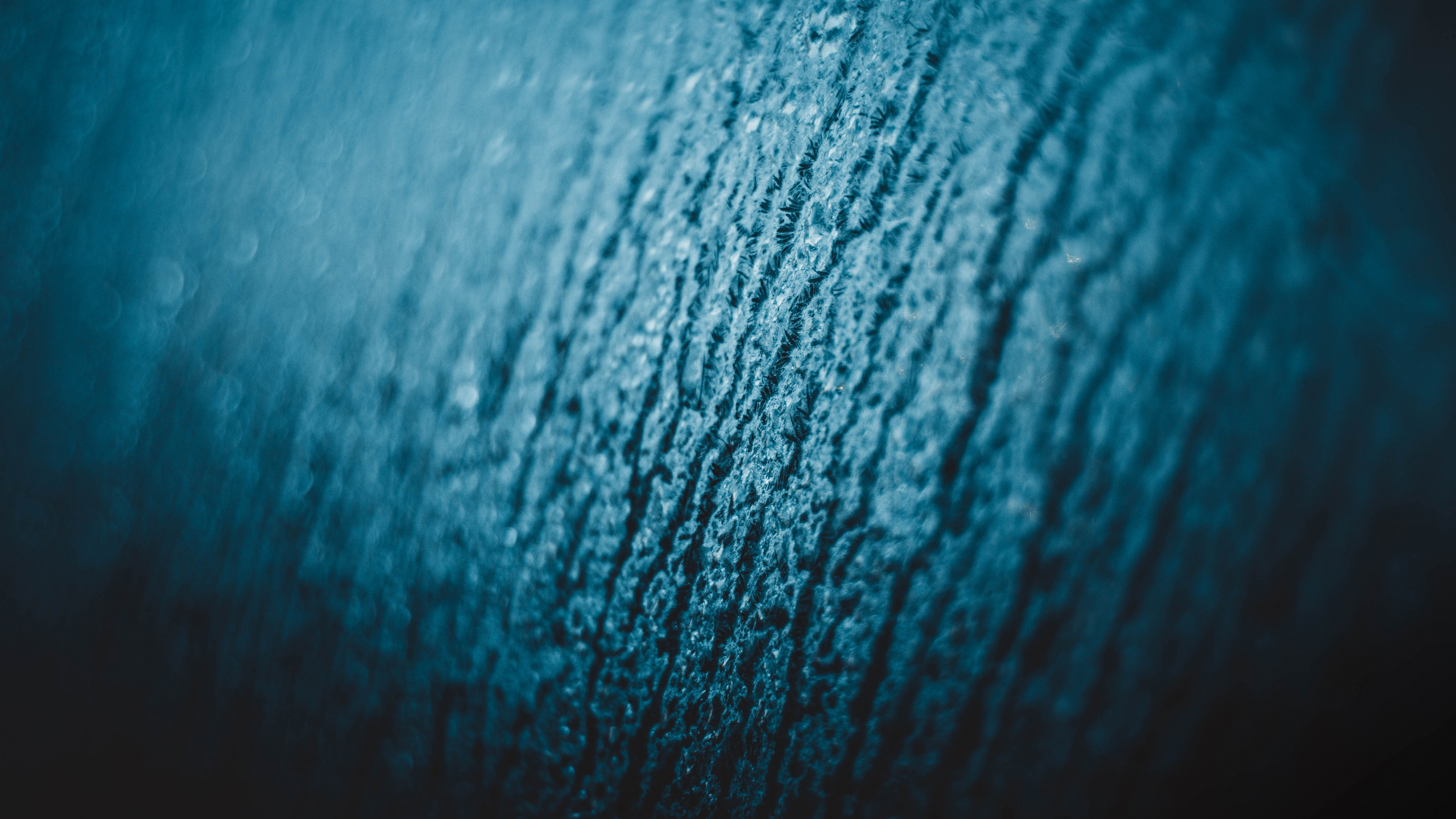 绿色的, 水上, Azure, 电蓝色的, 关闭了 壁纸 2560x1440 允许