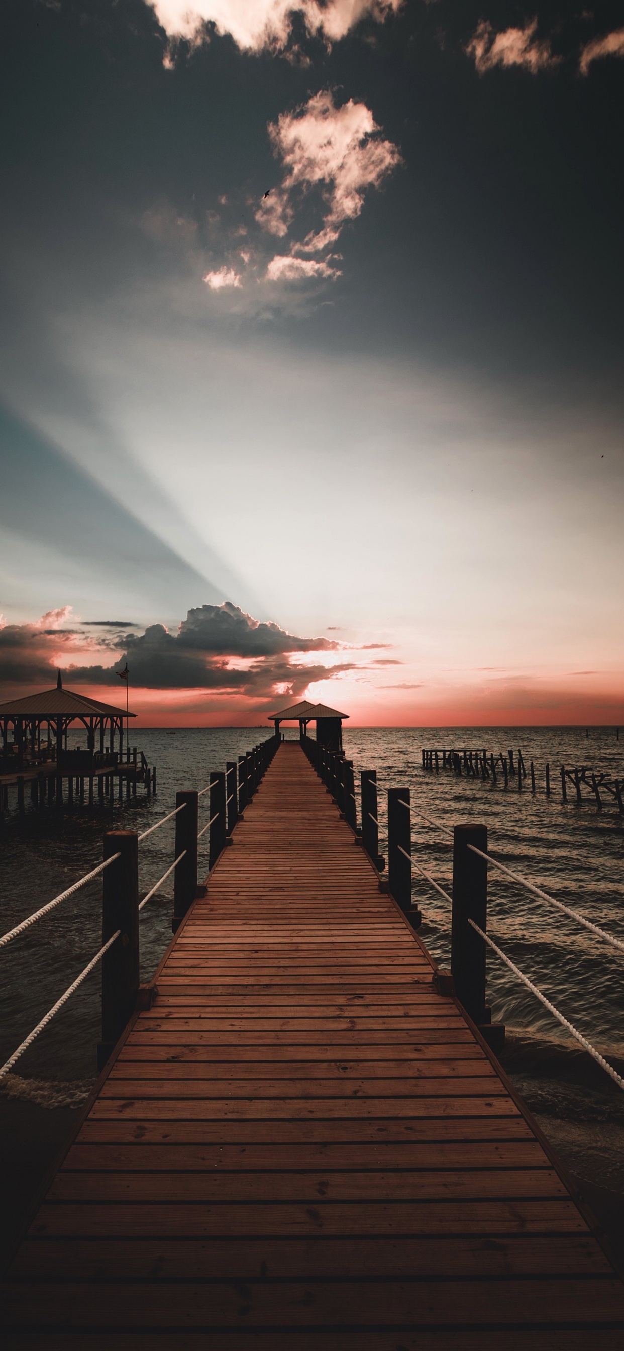 Water, Atmosphere, Nature, Afterglow, Wood. Wallpaper in 1242x2688 Resolution