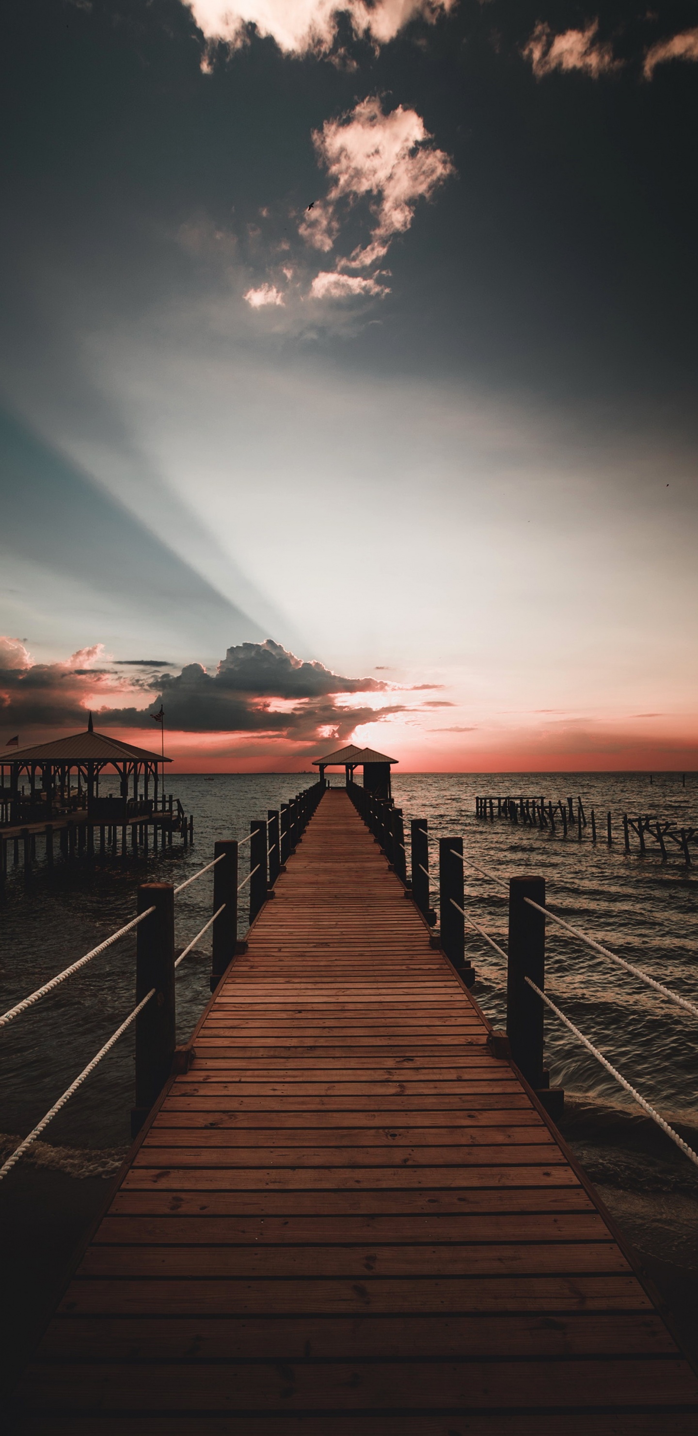 Water, Atmosphere, Nature, Afterglow, Wood. Wallpaper in 1440x2960 Resolution