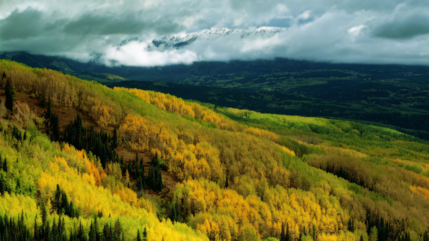 Green and Yellow Trees Under White Clouds and Blue Sky During Daytime. Wallpaper in 1366x768 Resolution