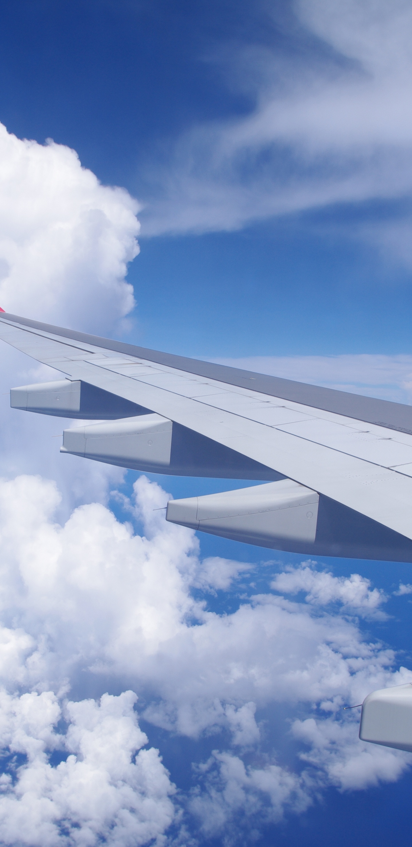 航班, 空中旅行, 翼, 航空, 航空公司 壁纸 1440x2960 允许