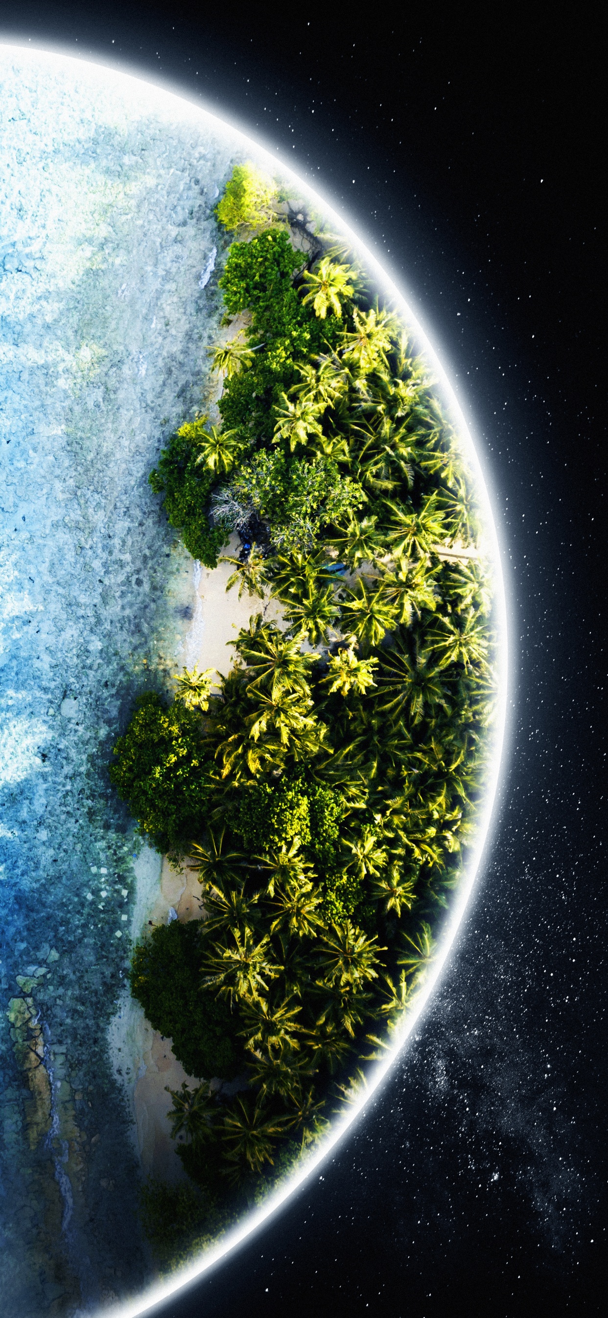 Atmosphère, Terre, Paysage Naturel, Végétation, Plante Terrestre. Wallpaper in 1242x2688 Resolution