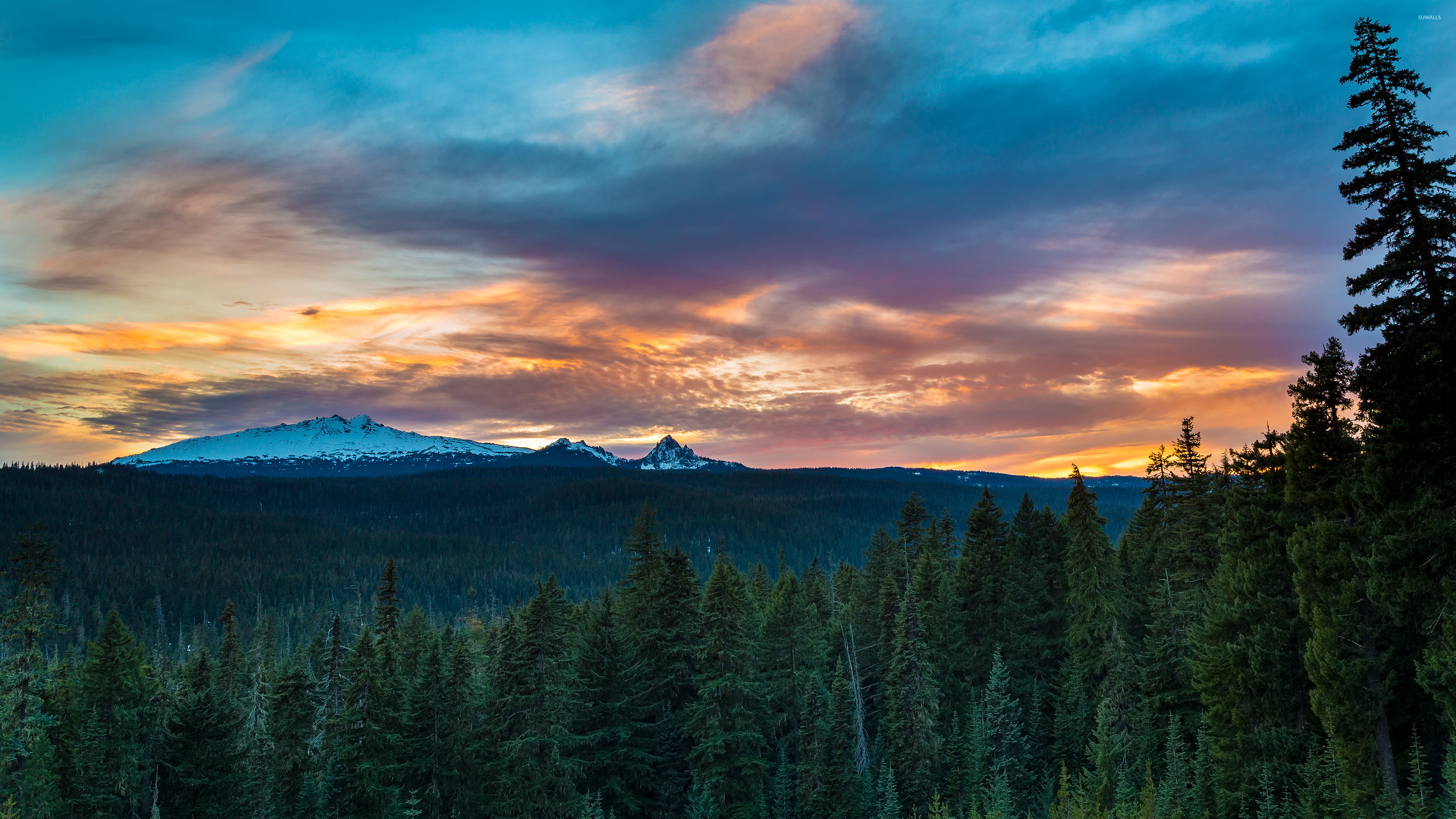 Green Pine Trees Near Mountain Under Cloudy Sky During Daytime. Wallpaper in 3840x2160 Resolution