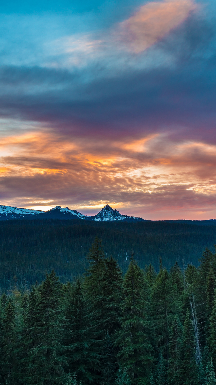 Green Pine Trees Near Mountain Under Cloudy Sky During Daytime. Wallpaper in 750x1334 Resolution