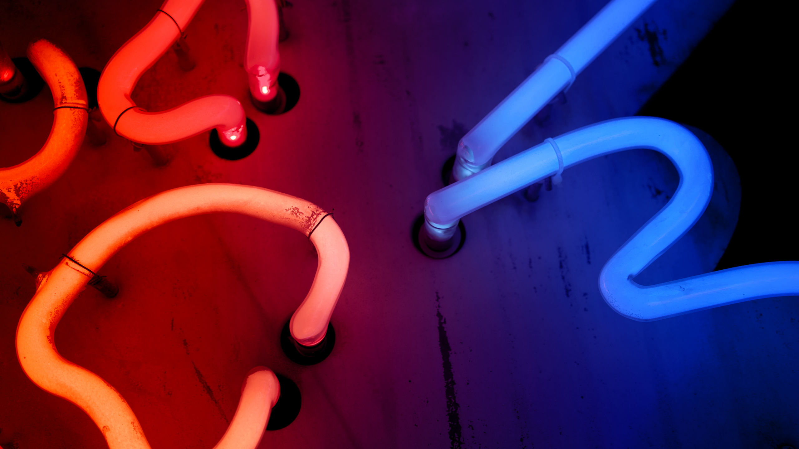 Luz, Morado, Rosa, Madera, Violeta. Wallpaper in 2560x1440 Resolution