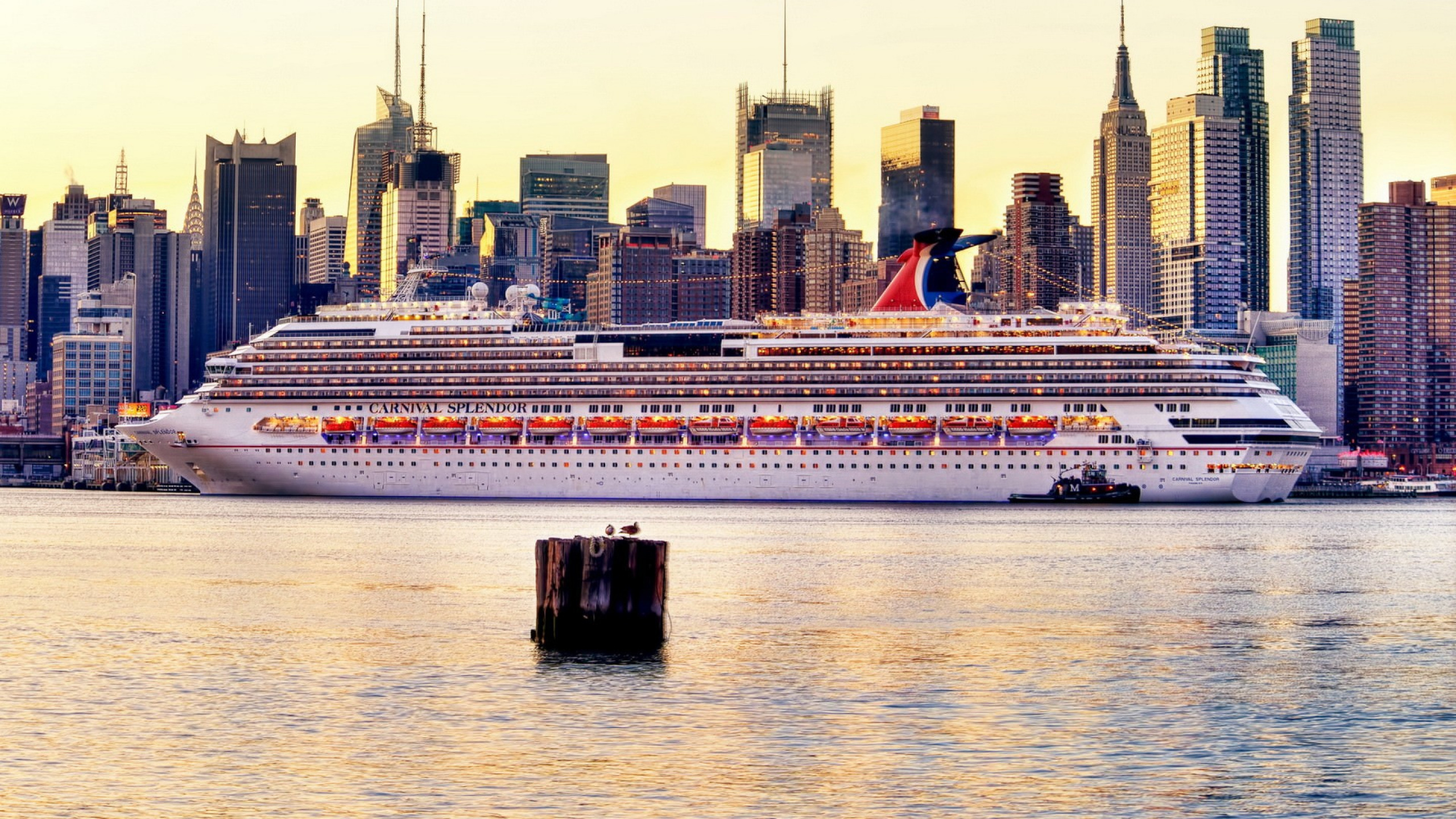 Bateau de Croisière Blanc en Mer Pendant la Journée. Wallpaper in 2560x1440 Resolution