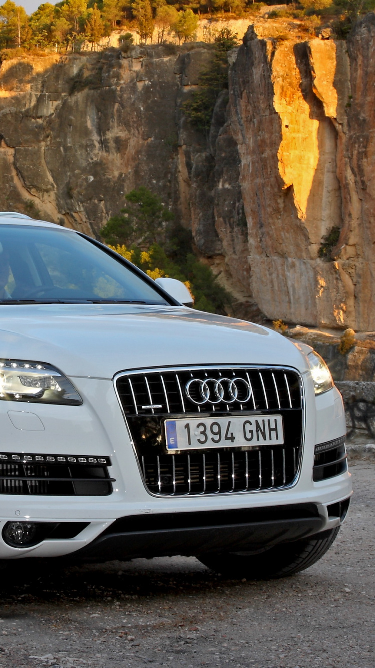 奥迪q7, 奥迪, 奥迪quattro, 奥迪q5, 运输 壁纸 750x1334 允许