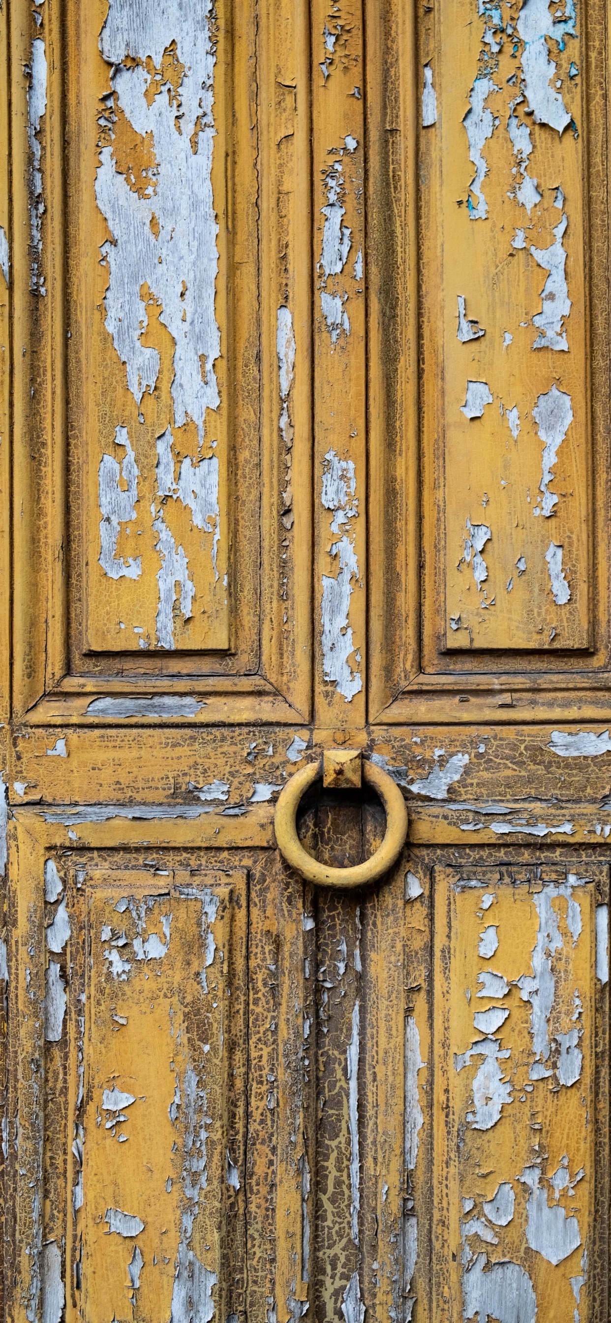 Brown Wooden Door With Gold Door Handle. Wallpaper in 1242x2688 Resolution