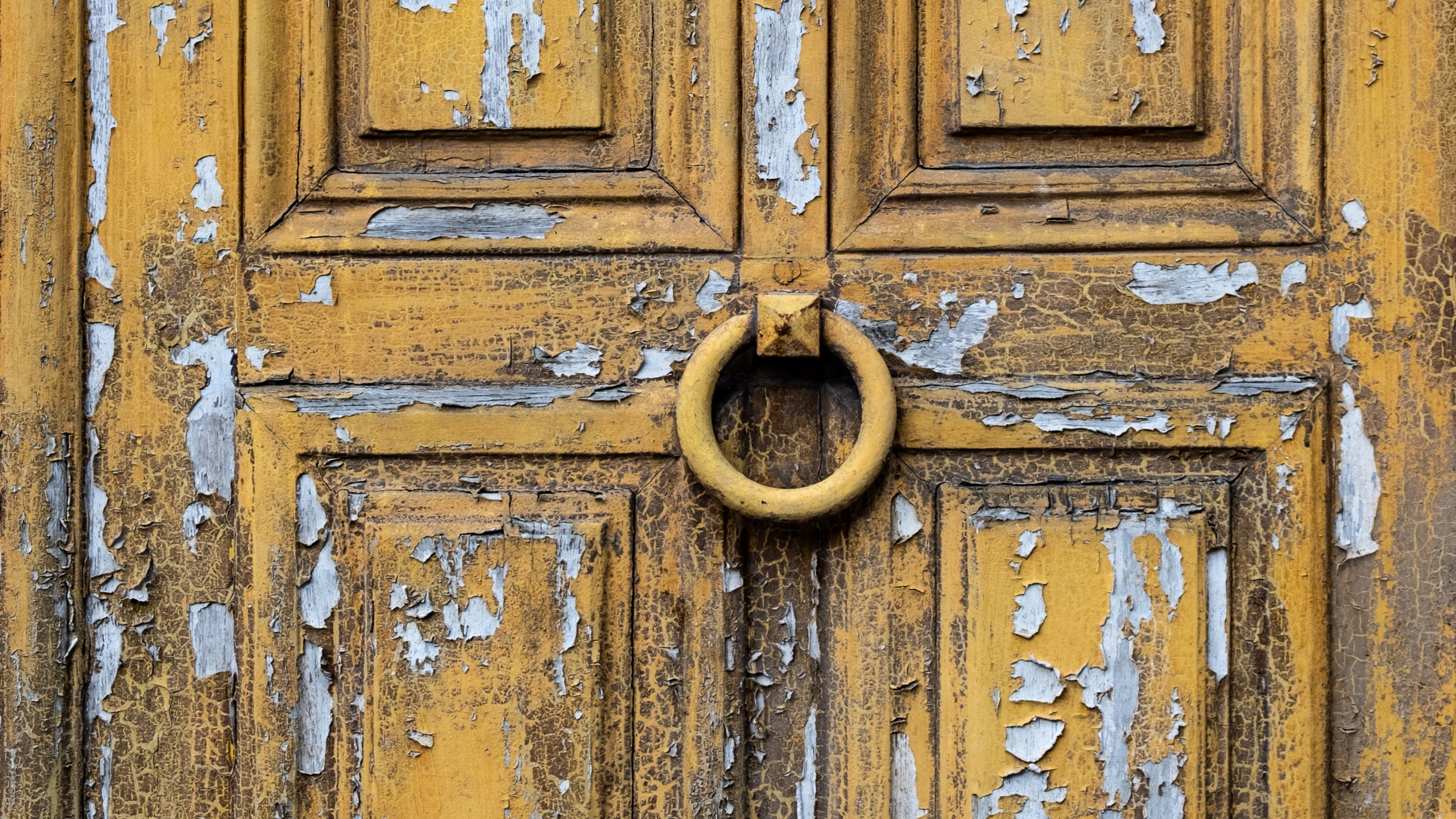 Brown Wooden Door With Gold Door Handle. Wallpaper in 2560x1440 Resolution