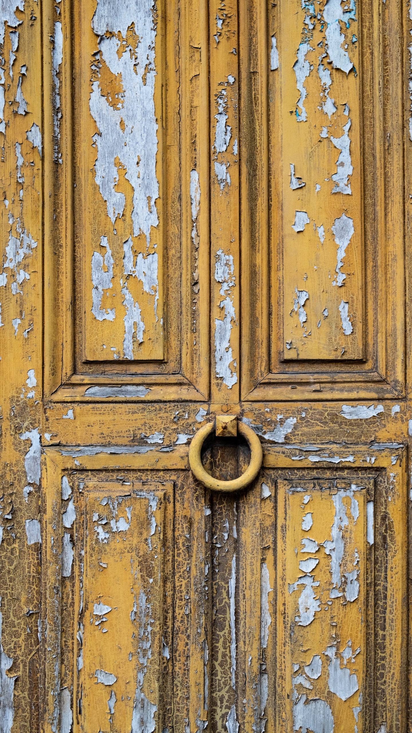 Puerta de Madera Marrón Con Manija de Puerta Dorada. Wallpaper in 1440x2560 Resolution