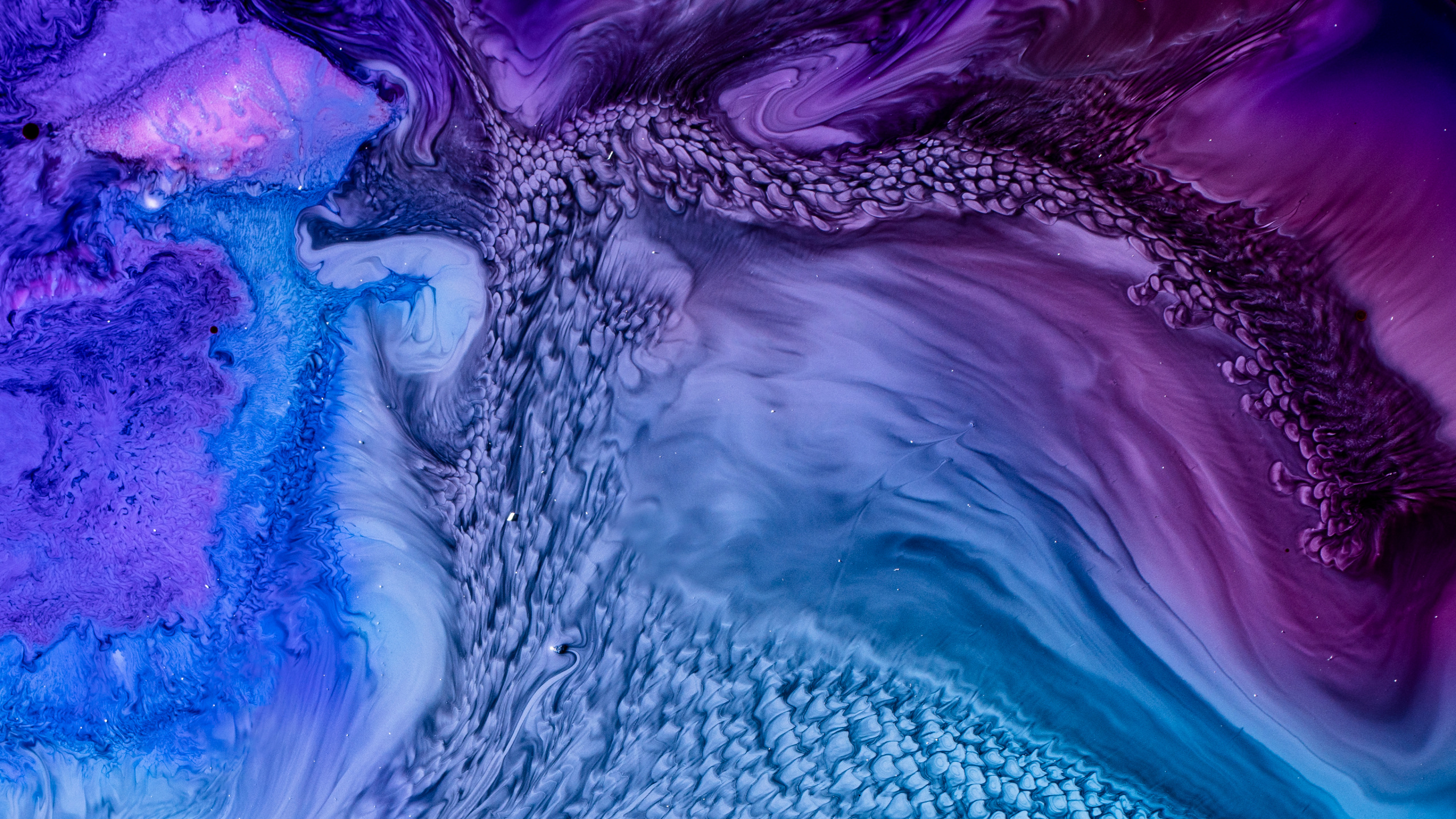 Arena Marrón Con Agua Durante el Día. Wallpaper in 2560x1440 Resolution