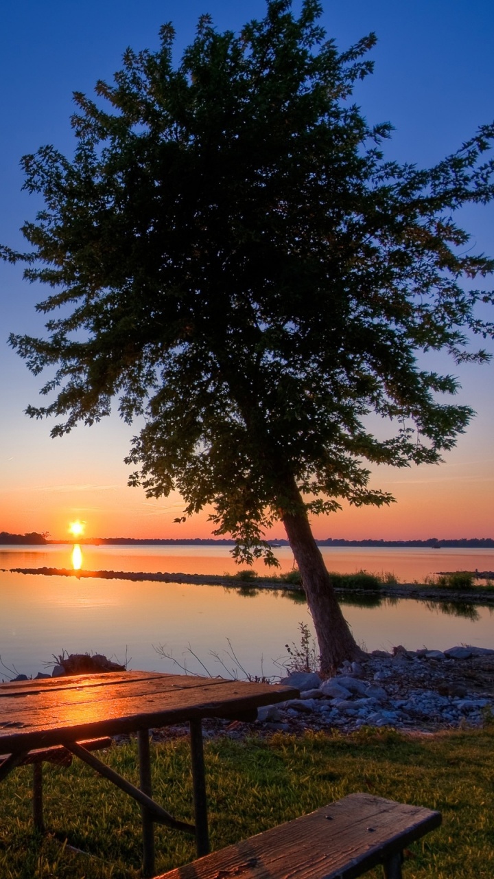 Brown Wooden Bench Near Body of Water During Sunset. Wallpaper in 720x1280 Resolution