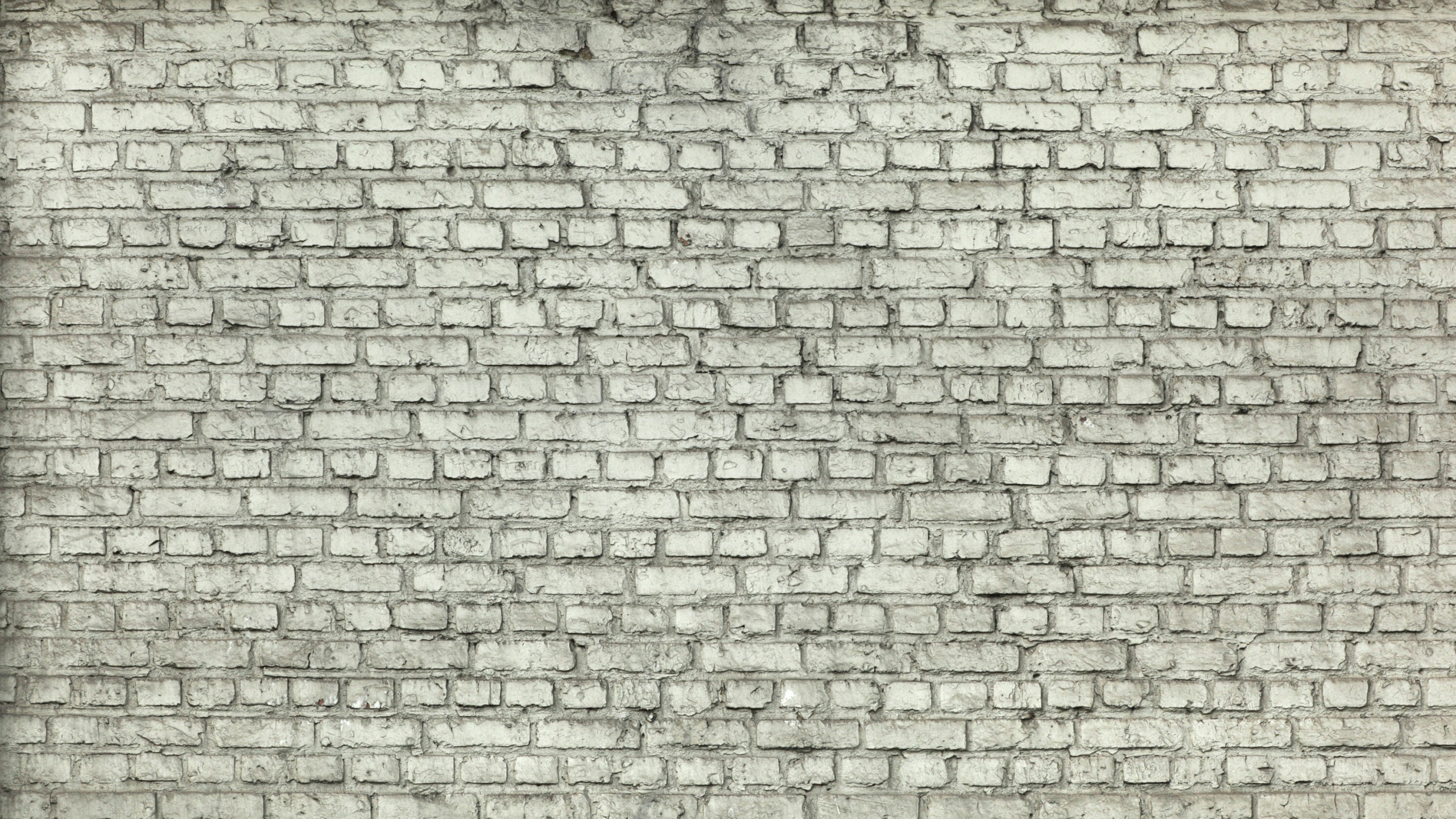 Pared de Ladrillo Blanco y Marrón. Wallpaper in 2560x1440 Resolution