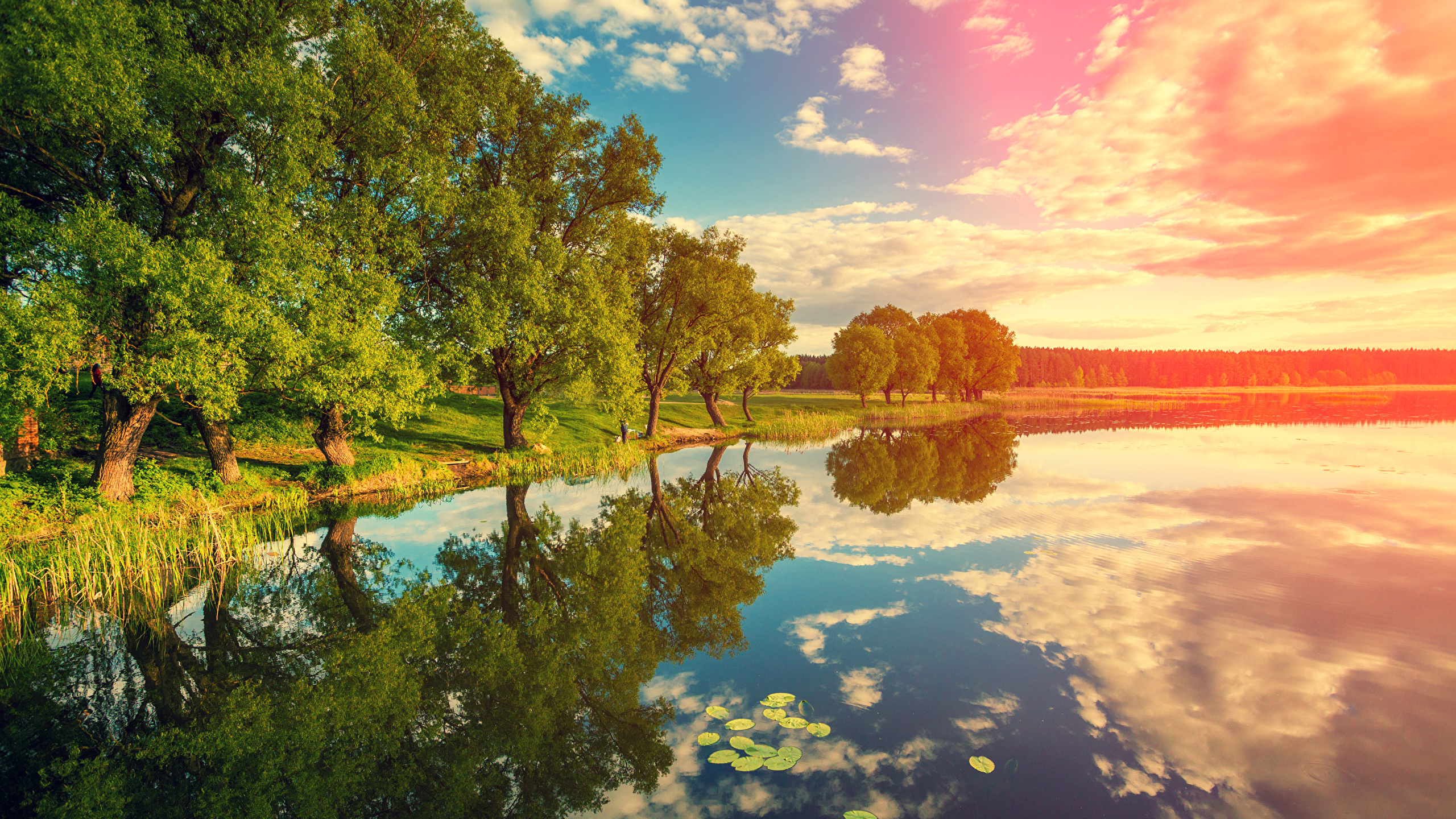 Green Trees Beside River Under Blue Sky During Daytime. Wallpaper in 2560x1440 Resolution