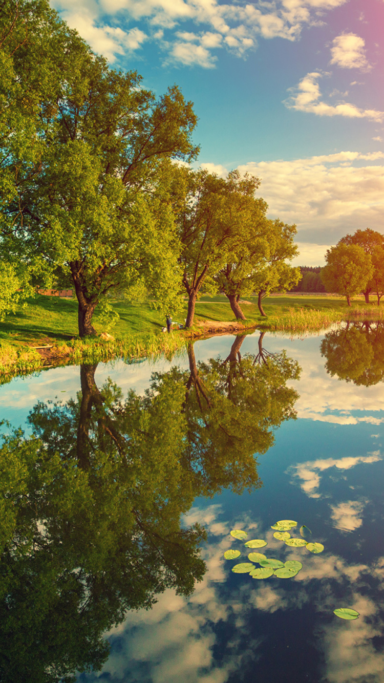 Grüne Bäume Neben Dem Fluss Unter Blauem Himmel Tagsüber. Wallpaper in 750x1334 Resolution